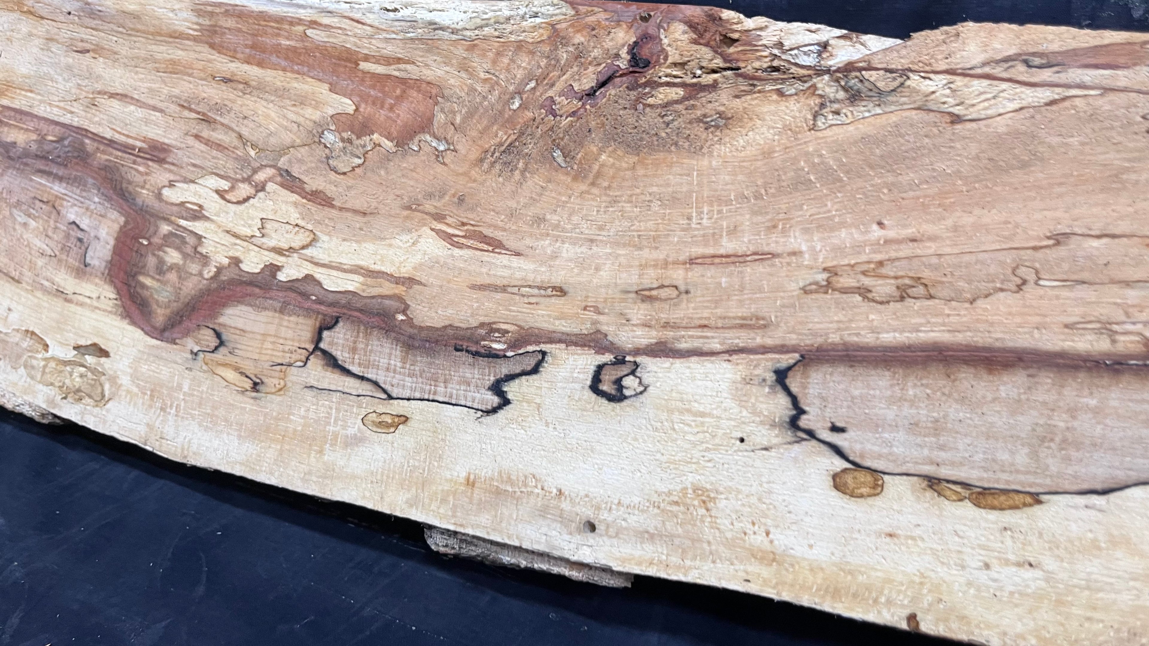 Spalted beech wood turning, tone wood, mantle 1458 L x 180 W x 47 D mm    (525)