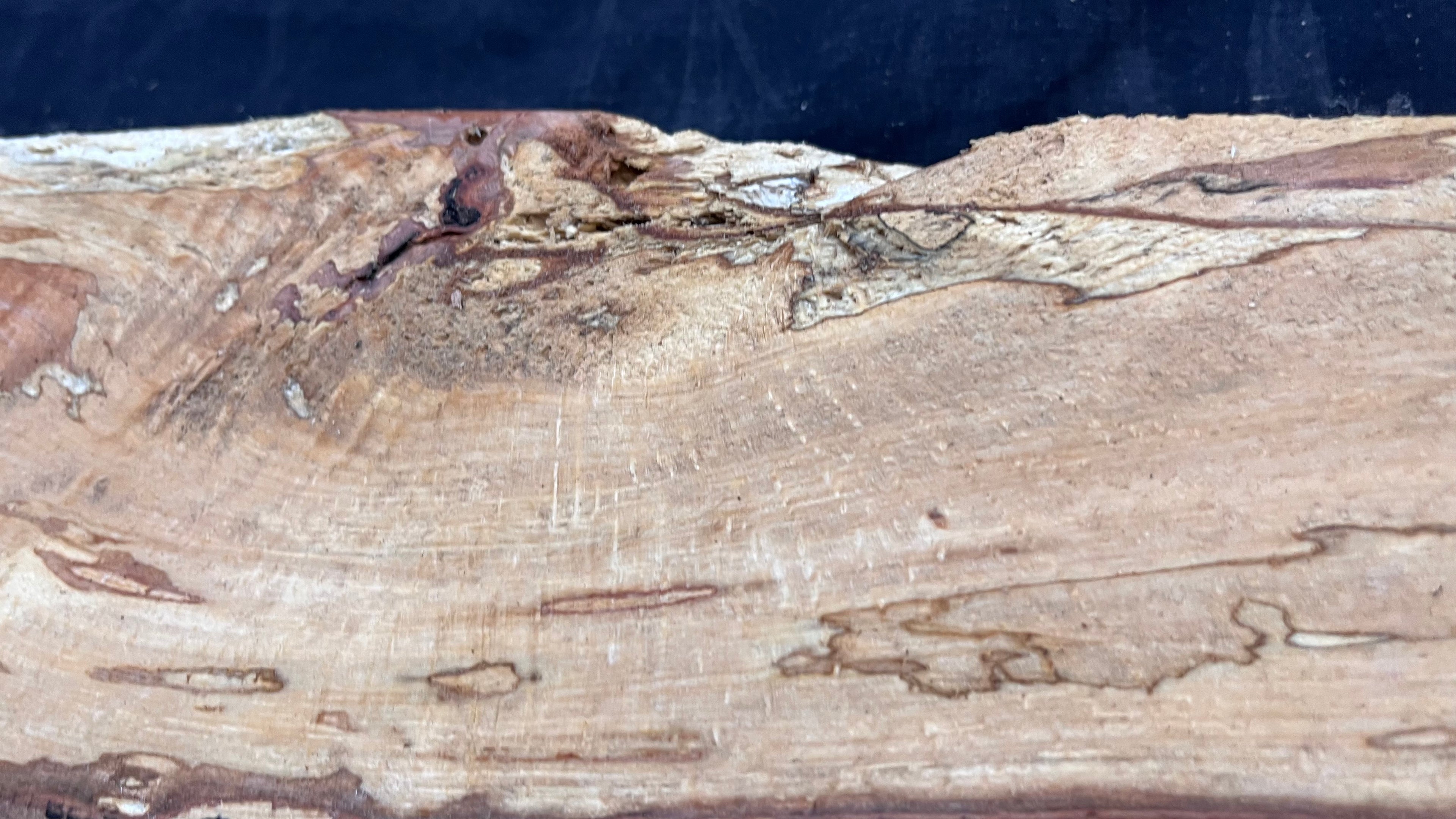 Spalted beech wood turning, tone wood, mantle 1458 L x 180 W x 47 D mm    (525)