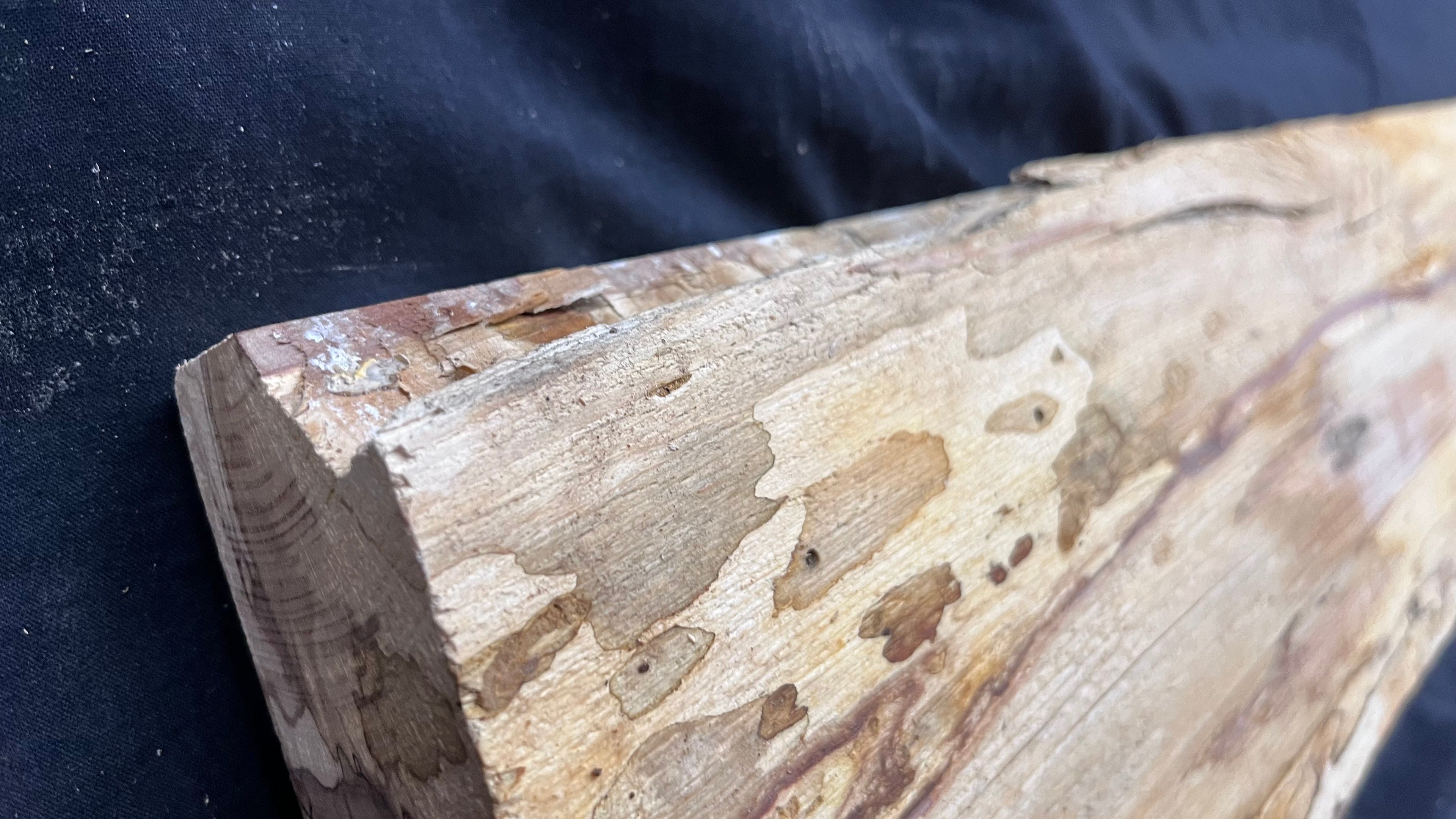 Spalted beech wood turning, tone wood, mantle 1458 L x 180 W x 47 D mm    (525)