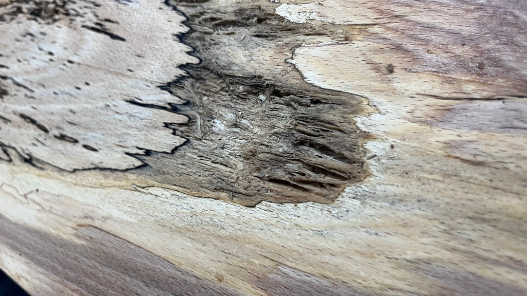Spalted beech wood turning, tone wood, mantle 1231 L x 325 W x 43 D mm    (526)