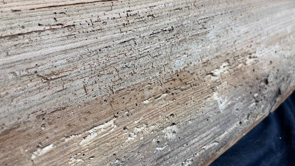 Elm reclaimed, plank, 872 L x 372 W x 30 D mm    (mt529)
