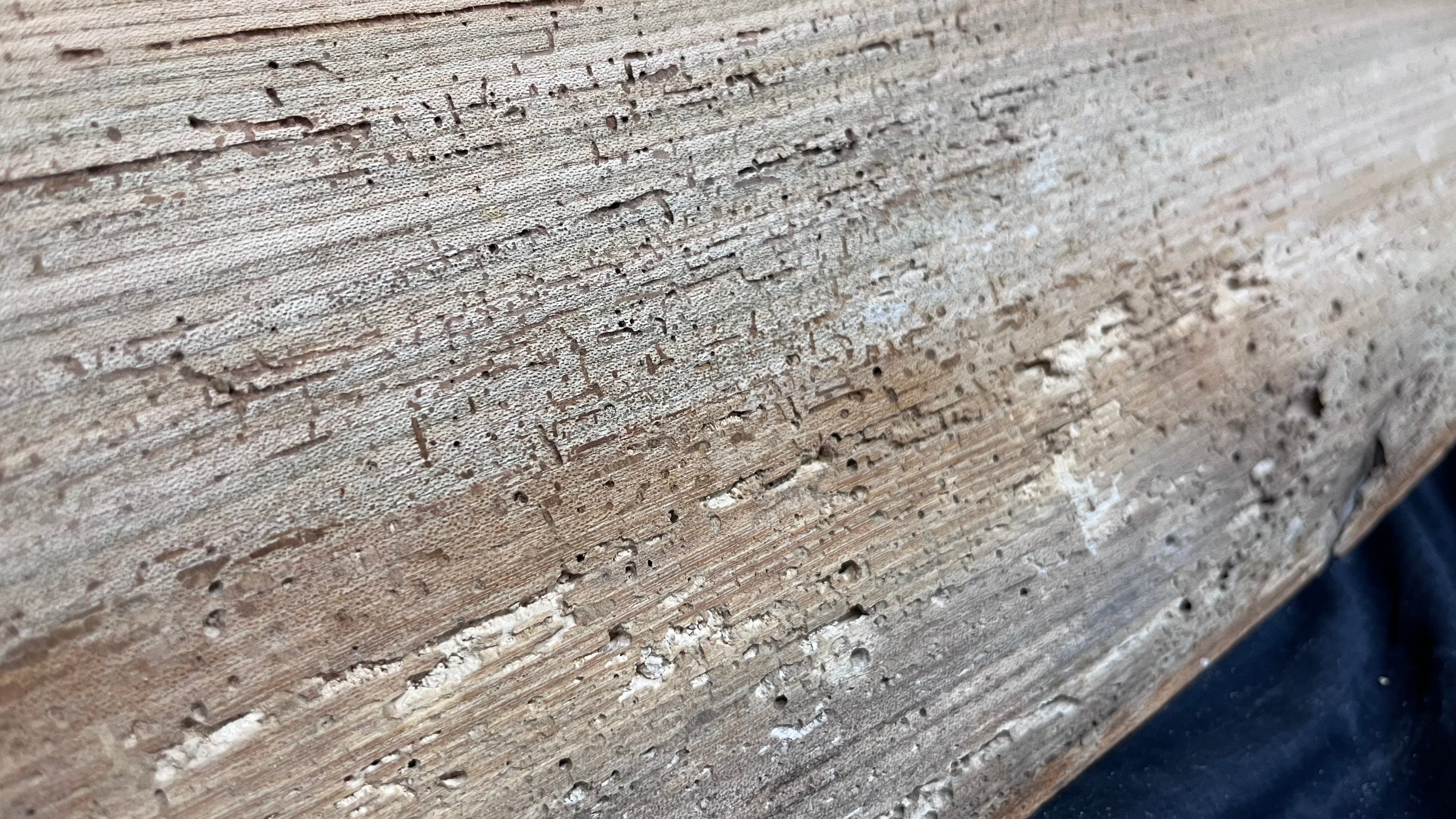 Elm reclaimed, plank, 872 L x 372 W x 30 D mm    (mt529)