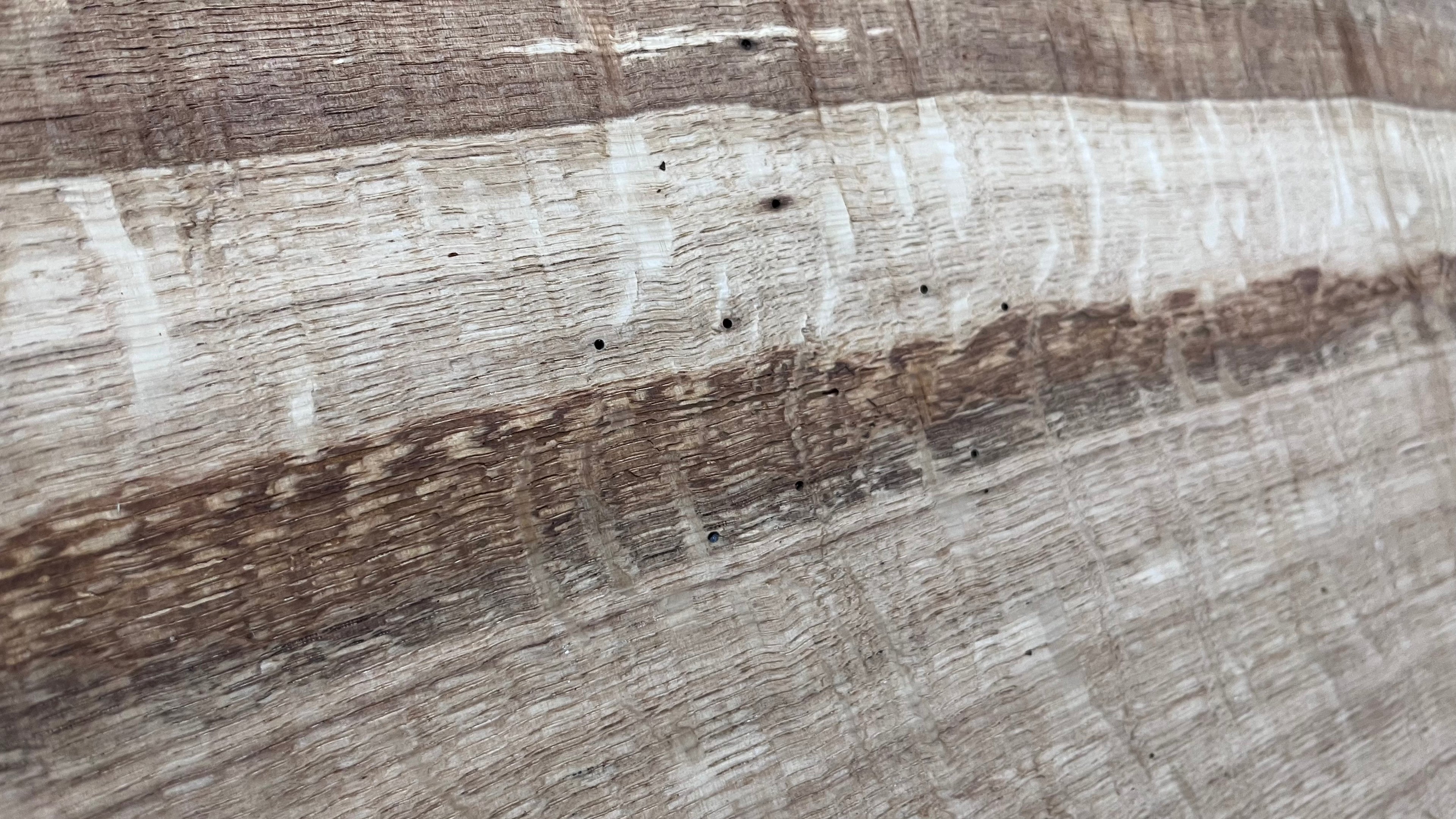 Oak resin project, craft wood shelf, 652 L x 324 W x 30 D mm     (mf532)