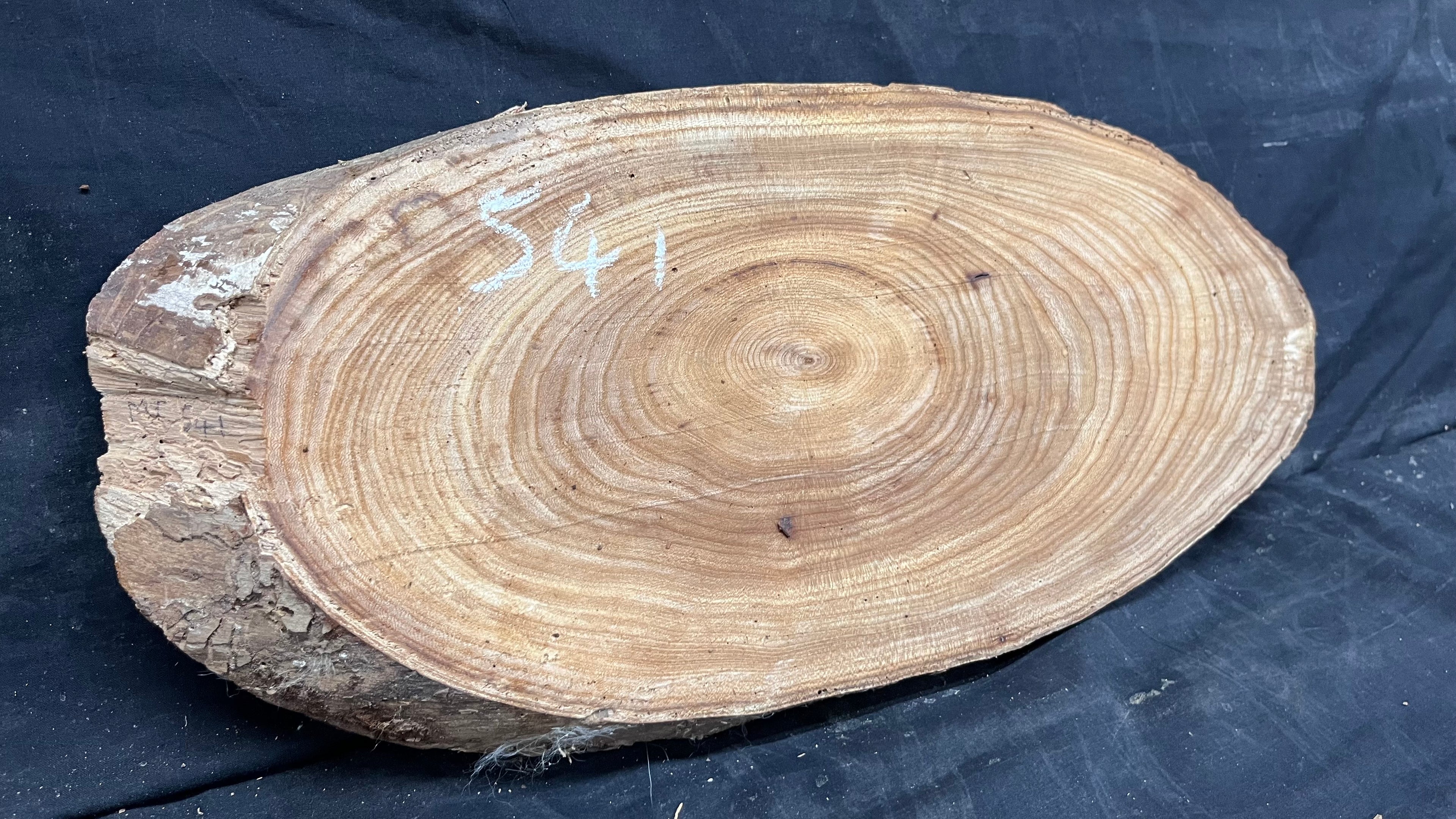 Elm reclaimed, plaque, 444 L x 215 W x 29 D mm    (mt541)