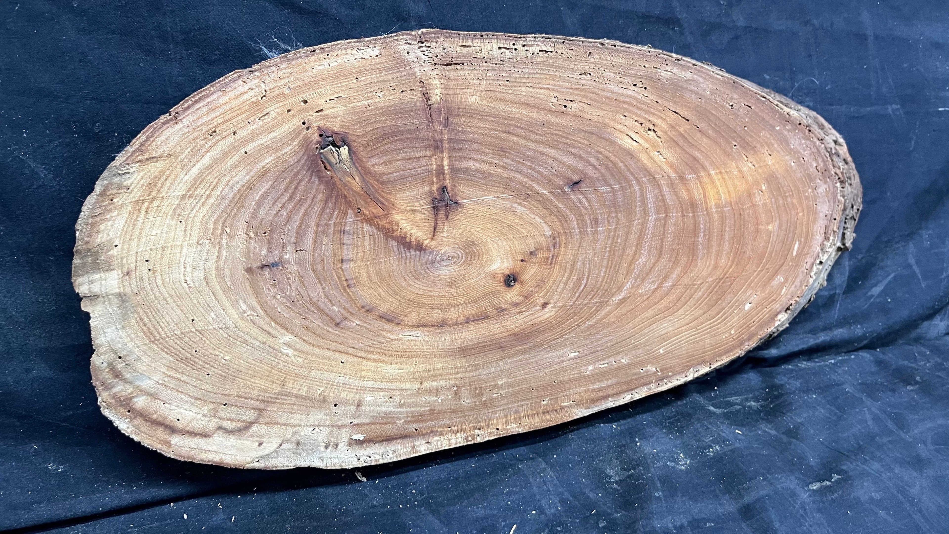 Elm reclaimed, plaque, 444 L x 215 W x 29 D mm    (mt541)