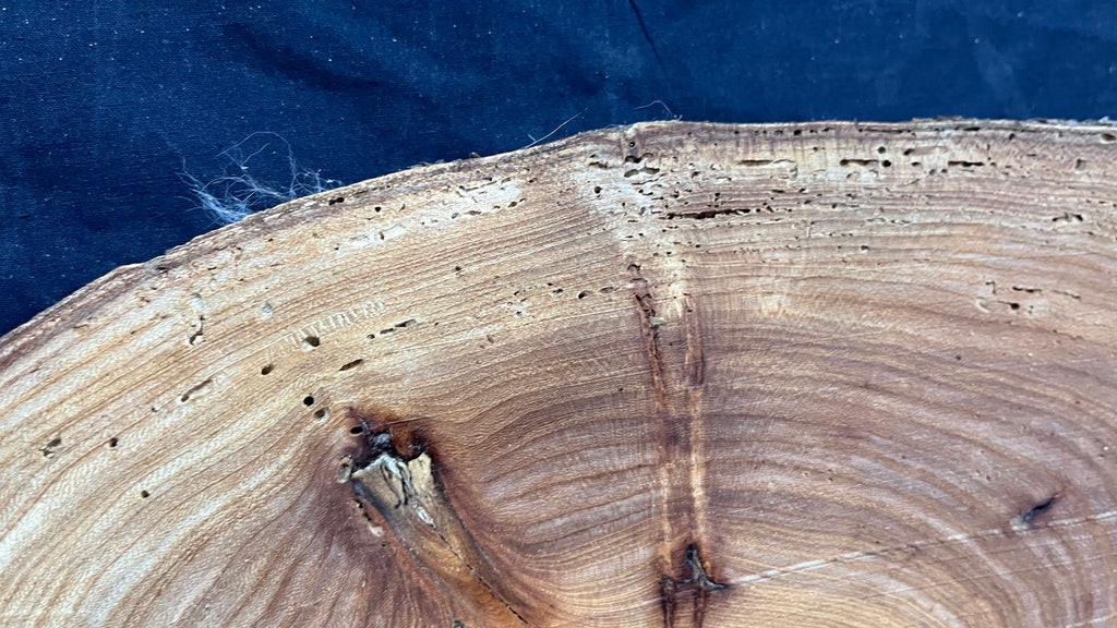 Elm reclaimed, plaque, 444 L x 215 W x 29 D mm    (mt541)