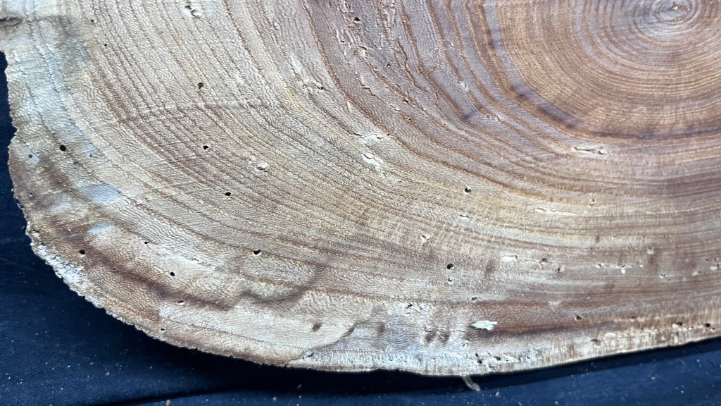 Elm reclaimed, plaque, 444 L x 215 W x 29 D mm    (mt541)
