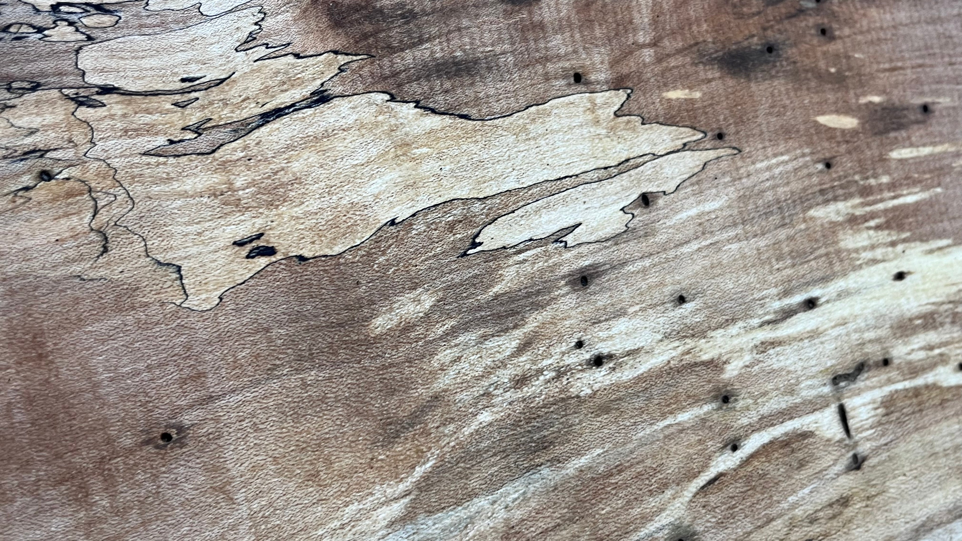 Sycamore chopping board, craft wood 515 L x 475 W x 45 D (mm)    (543)
