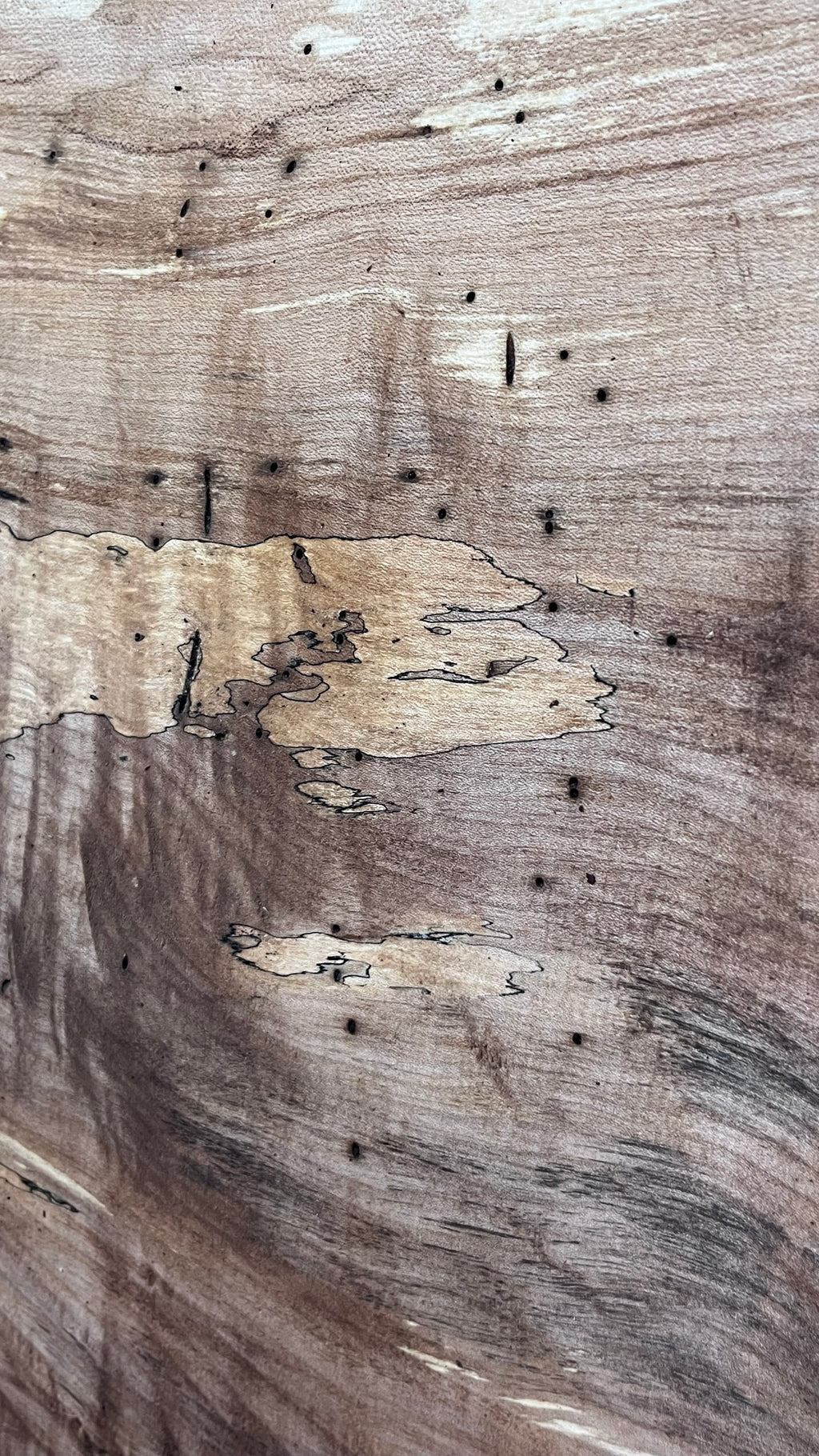 Sycamore chopping board, craft wood 515 L x 475 W x 45 D (mm)    (543)