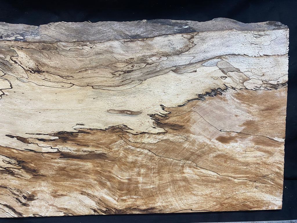 Spalted beech thin timber, box making 801 L x 267 W x 23 D mm    (330)