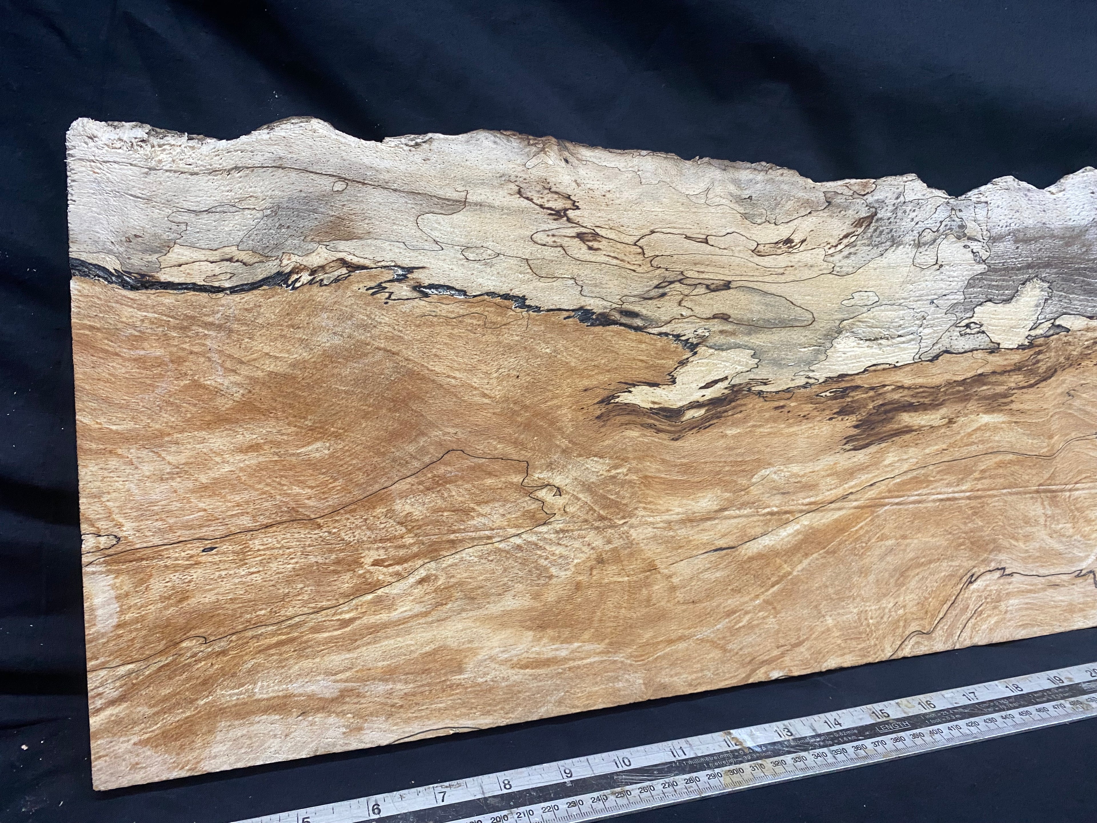 Spalted beech thin timber, box making 801 L x 267 W x 23 D mm    (330)