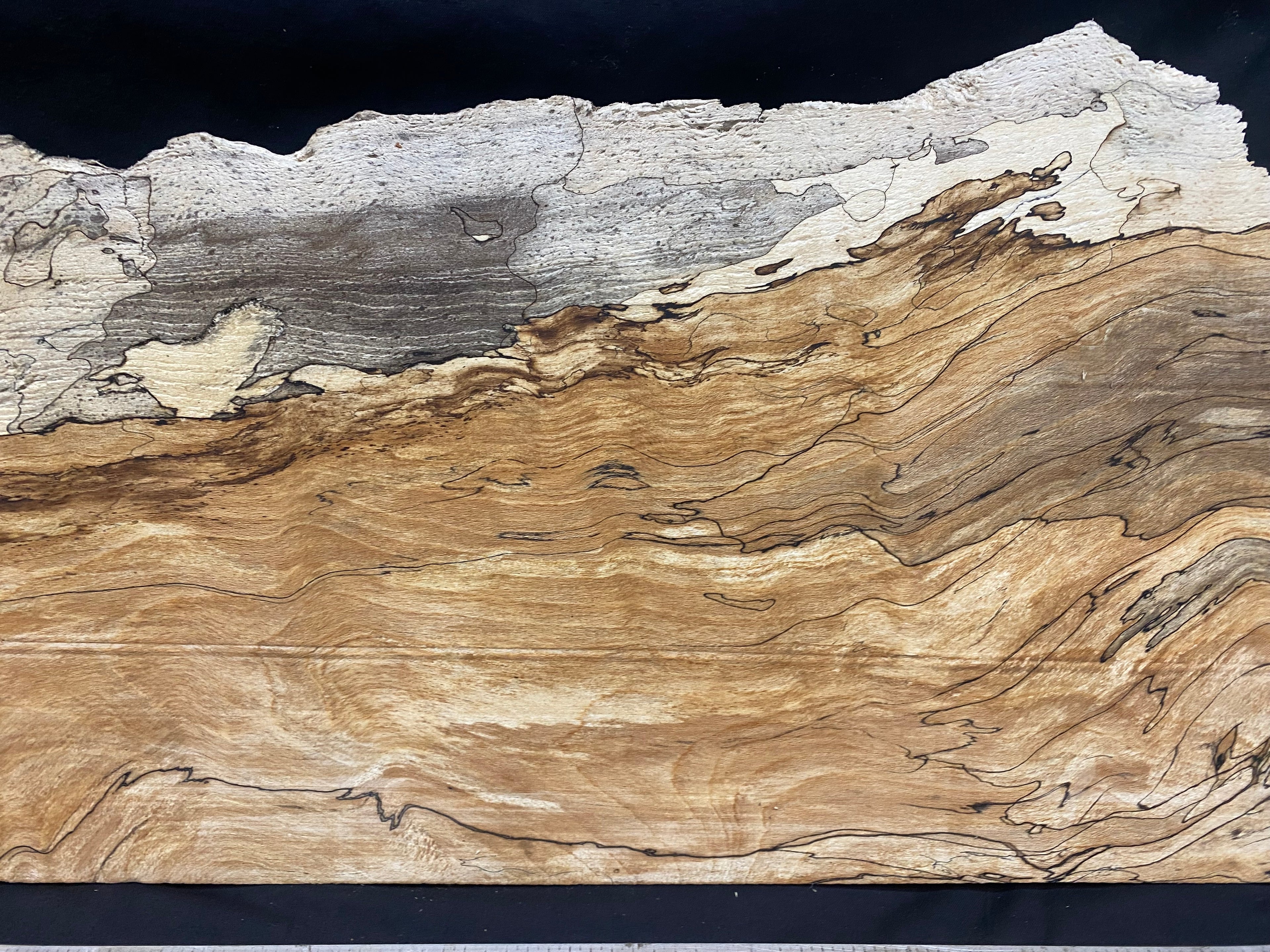 Spalted beech thin timber, box making 801 L x 267 W x 23 D mm    (330)