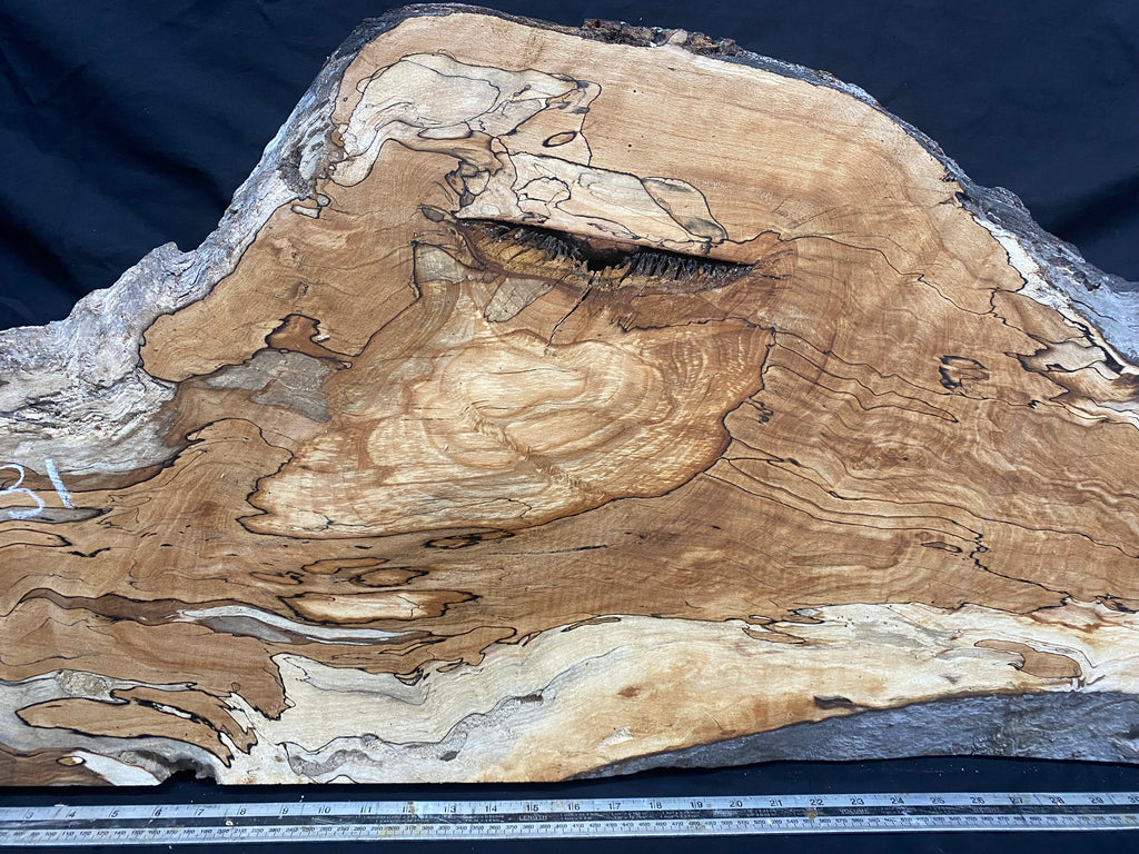 Spalted beech timber, resin table blank 783 x 482 W x 45 D mm    (331)