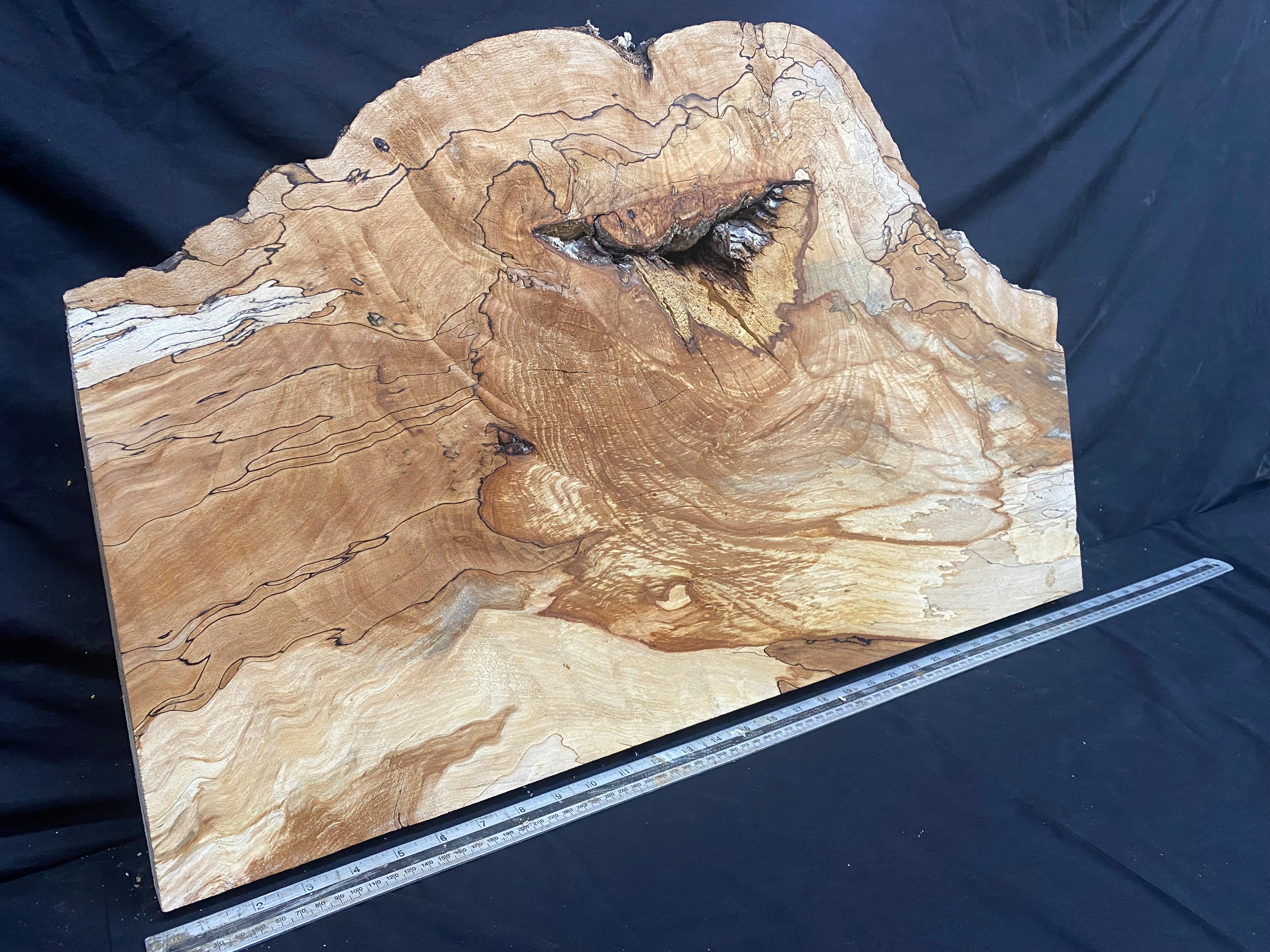 Spalted beech timber, resin table blank 783 x 482 W x 45 D mm    (331)
