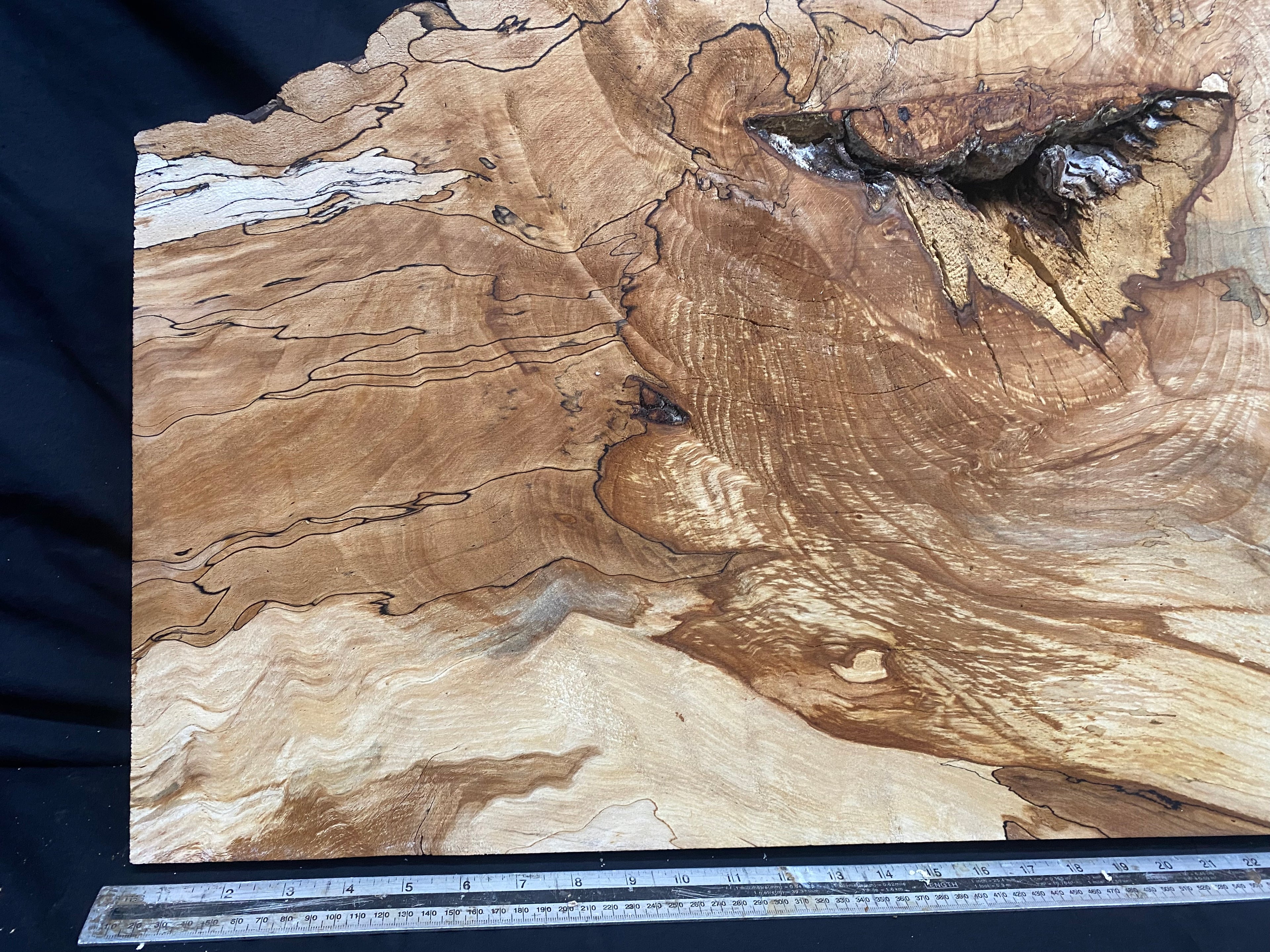 Spalted beech timber, resin table blank 783 x 482 W x 45 D mm    (331)