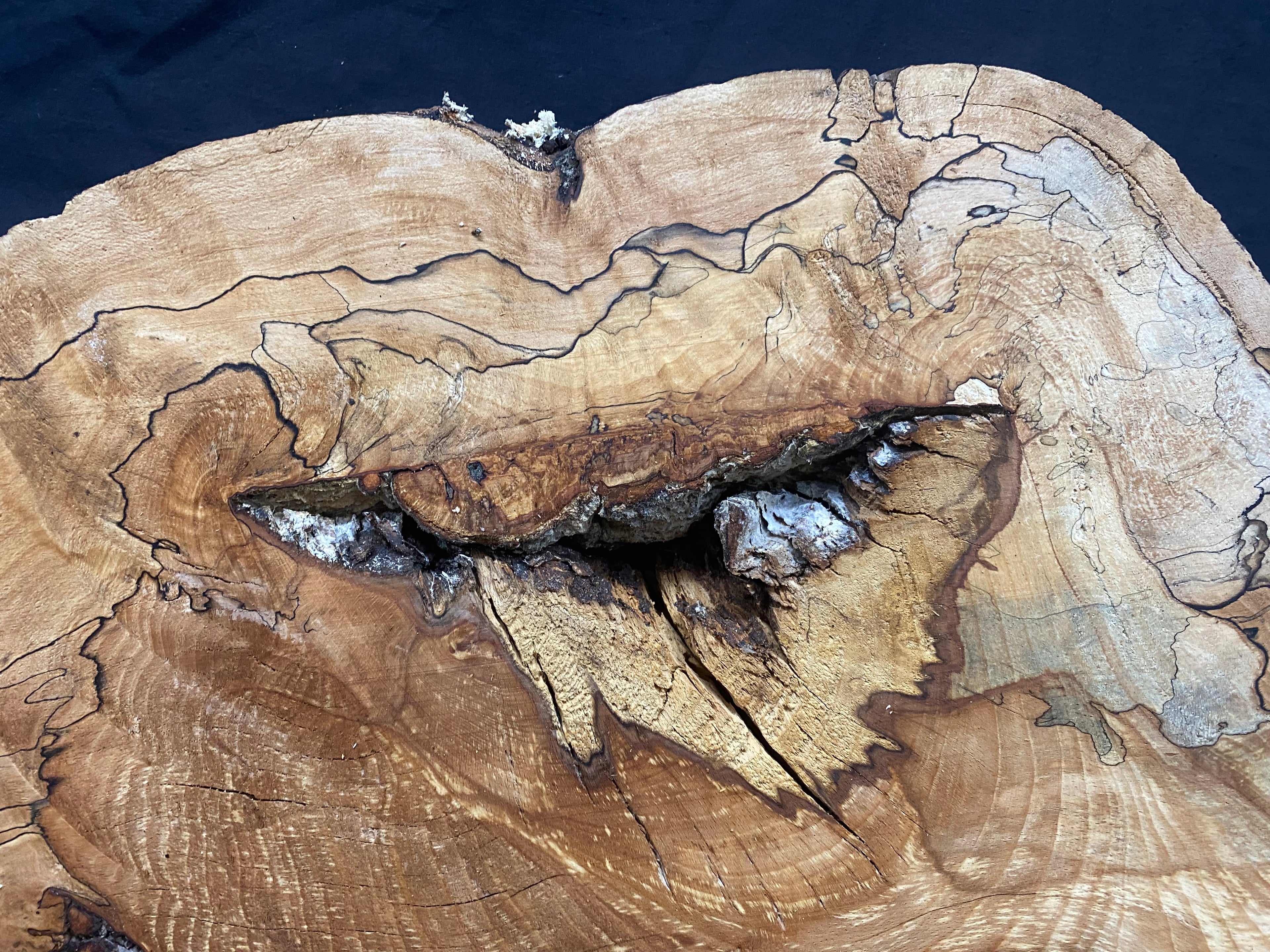 Spalted beech timber, resin table blank 783 x 482 W x 45 D mm    (331)