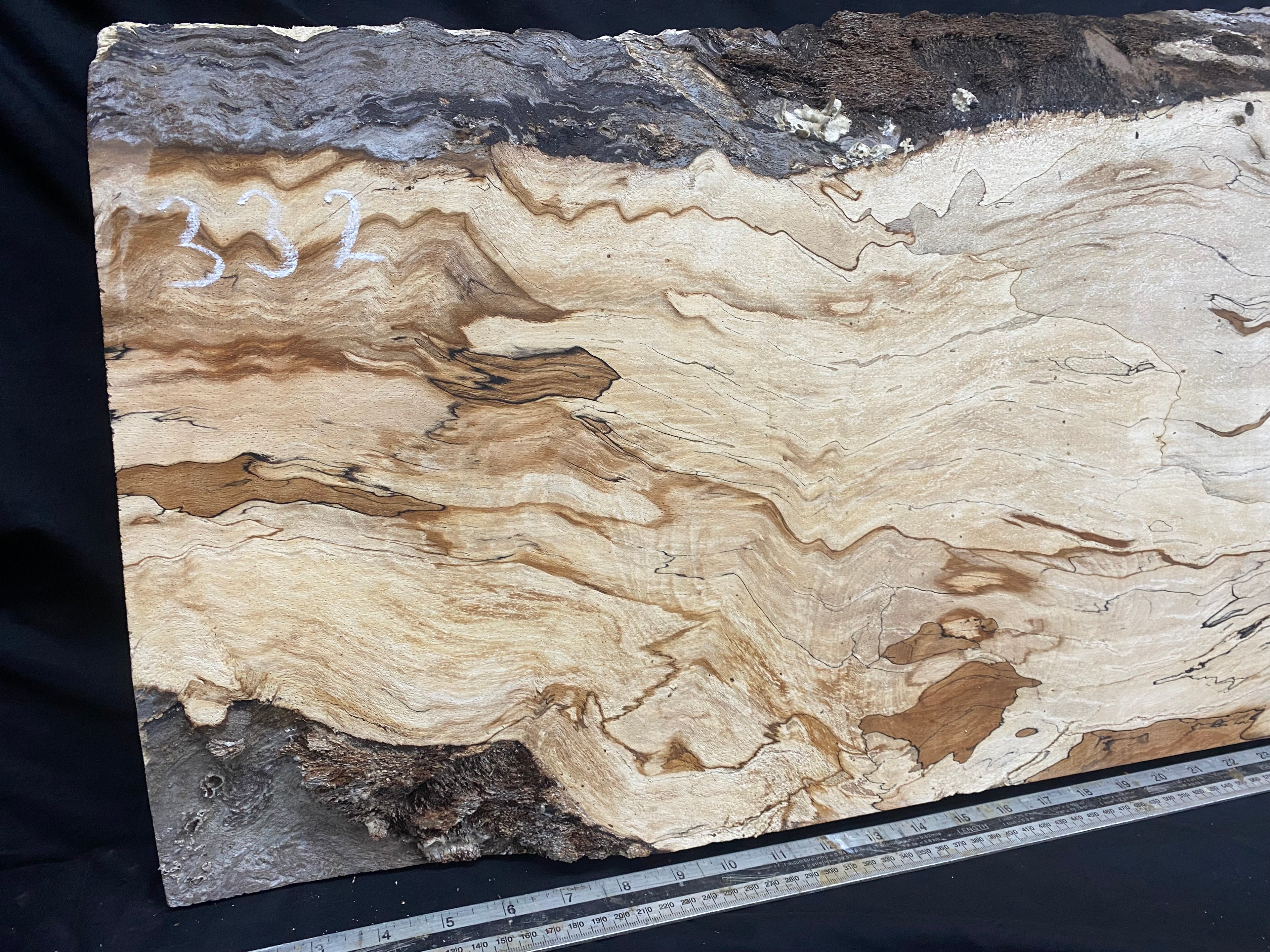 Spalted beech timber, resin table blank 976 L x 475 W x 45 D mm    (332)