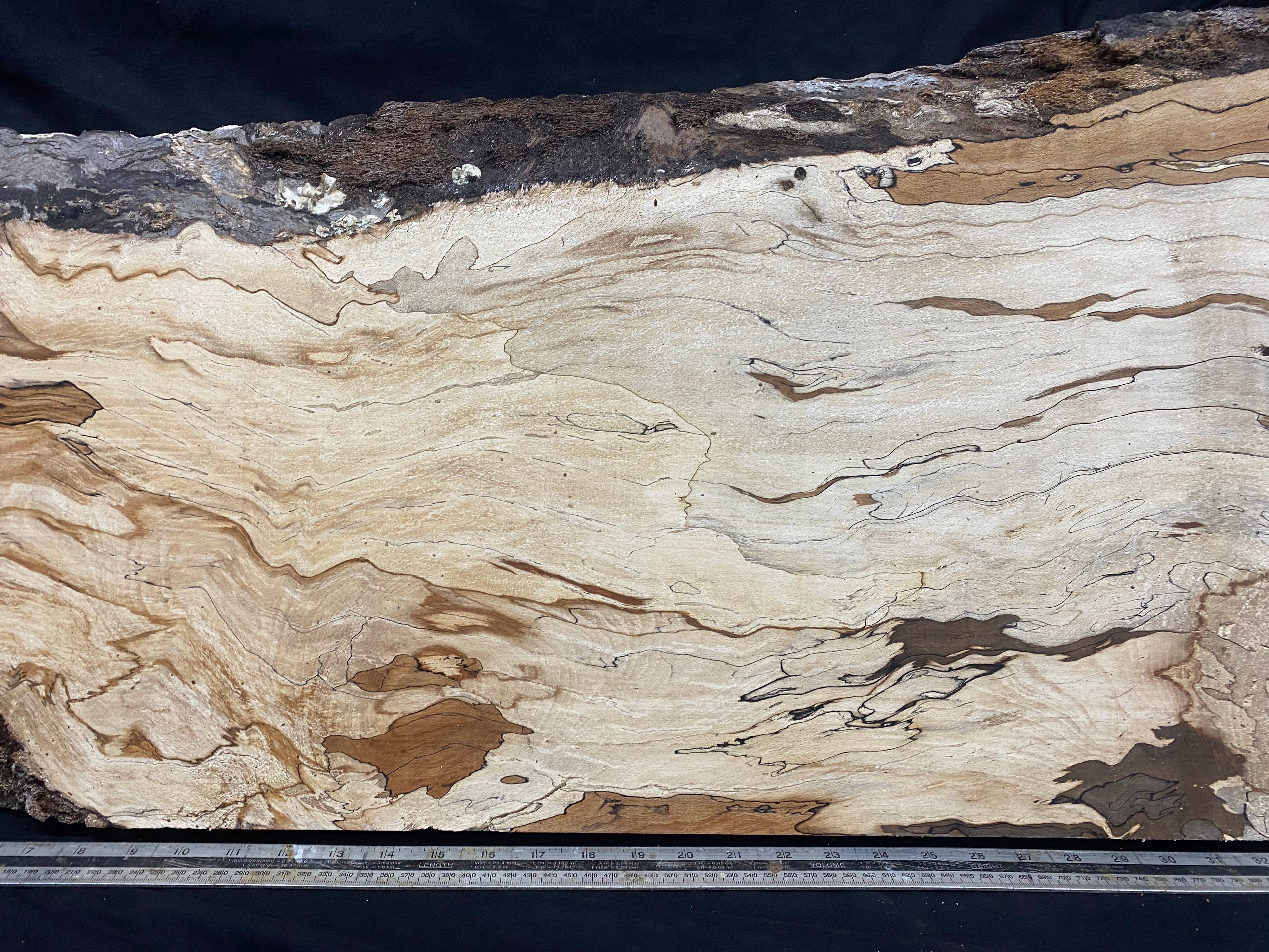 Spalted beech timber, resin table blank 976 L x 475 W x 45 D mm    (332)
