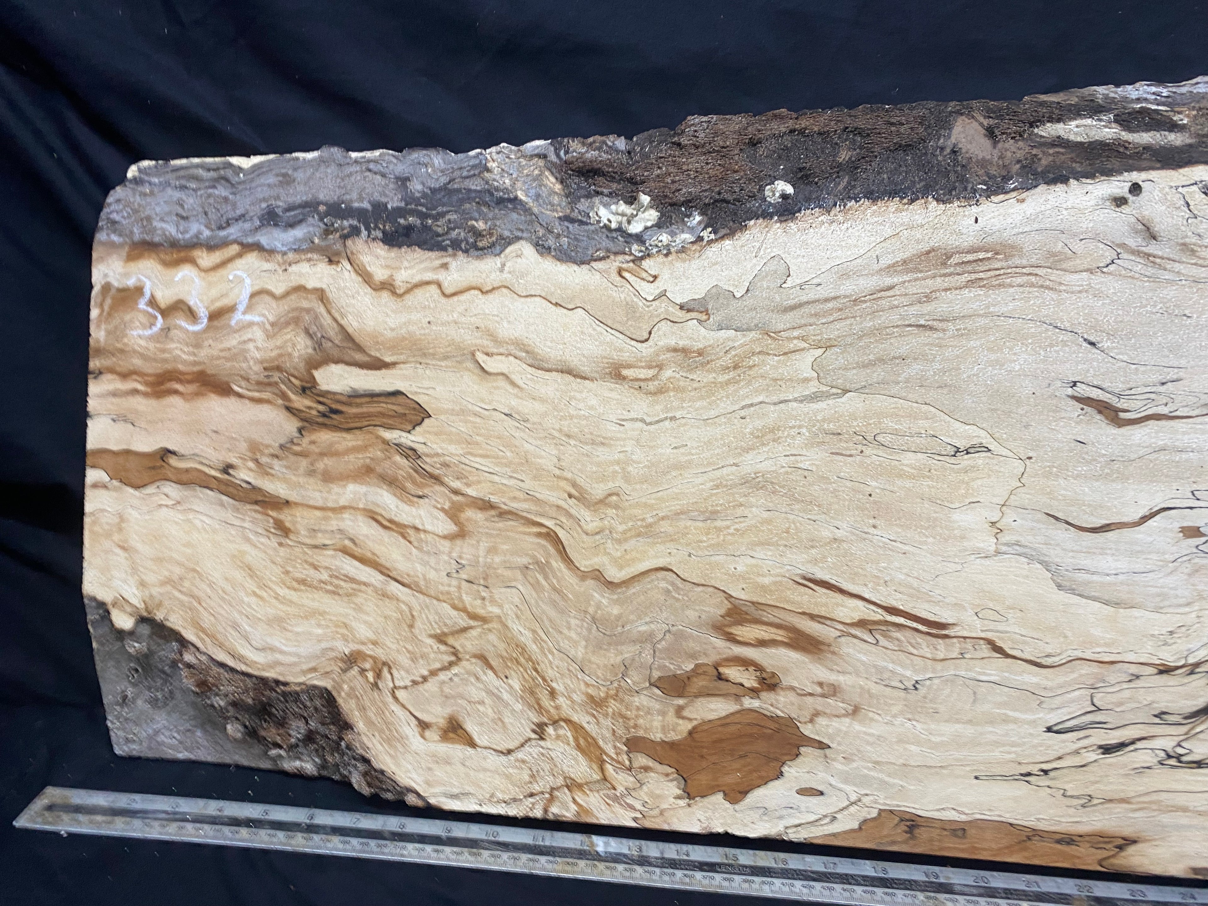 Spalted beech timber, resin table blank 976 L x 475 W x 45 D mm    (332)