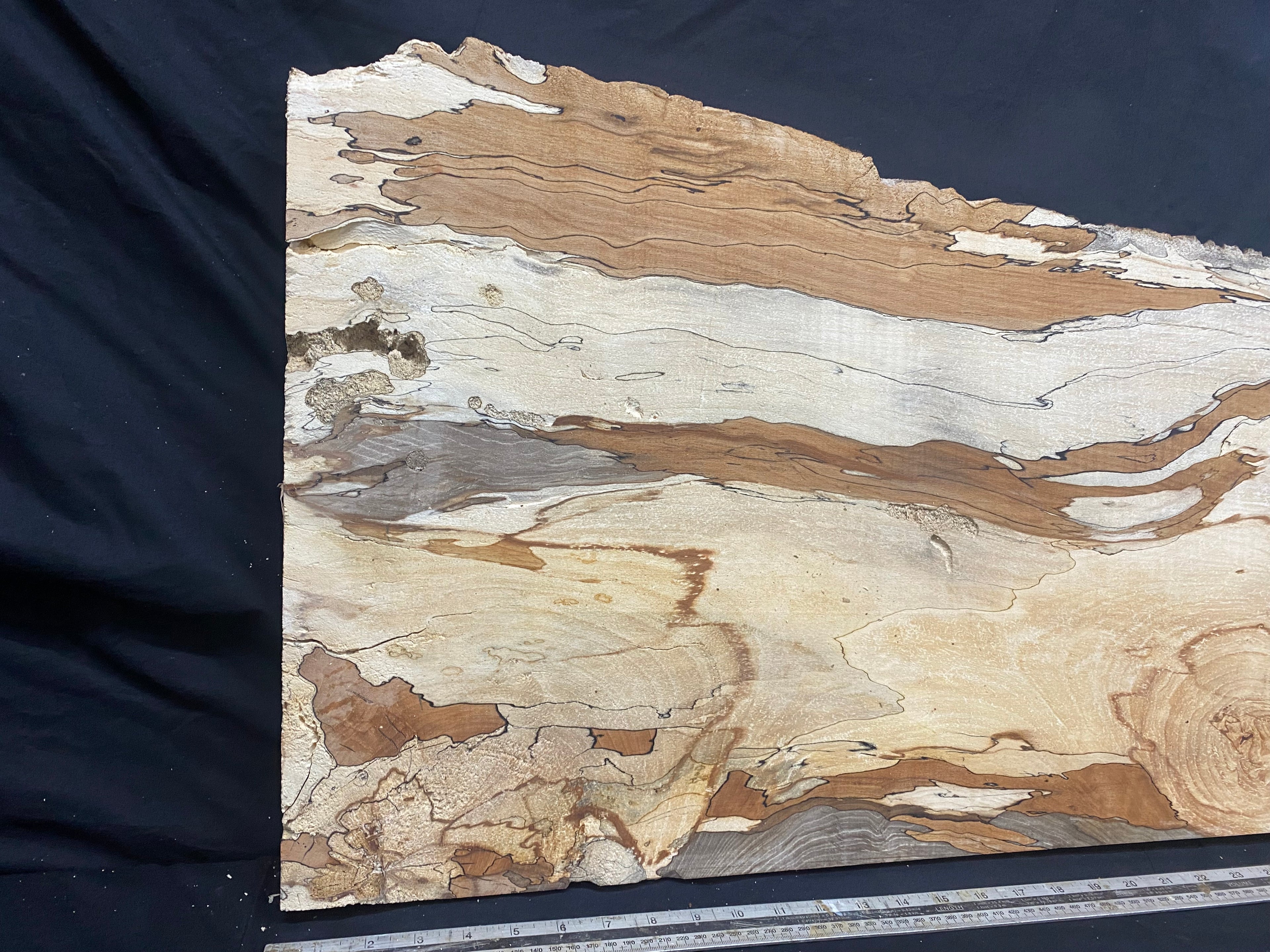 Spalted beech timber, resin table blank 976 L x 475 W x 45 D mm    (332)