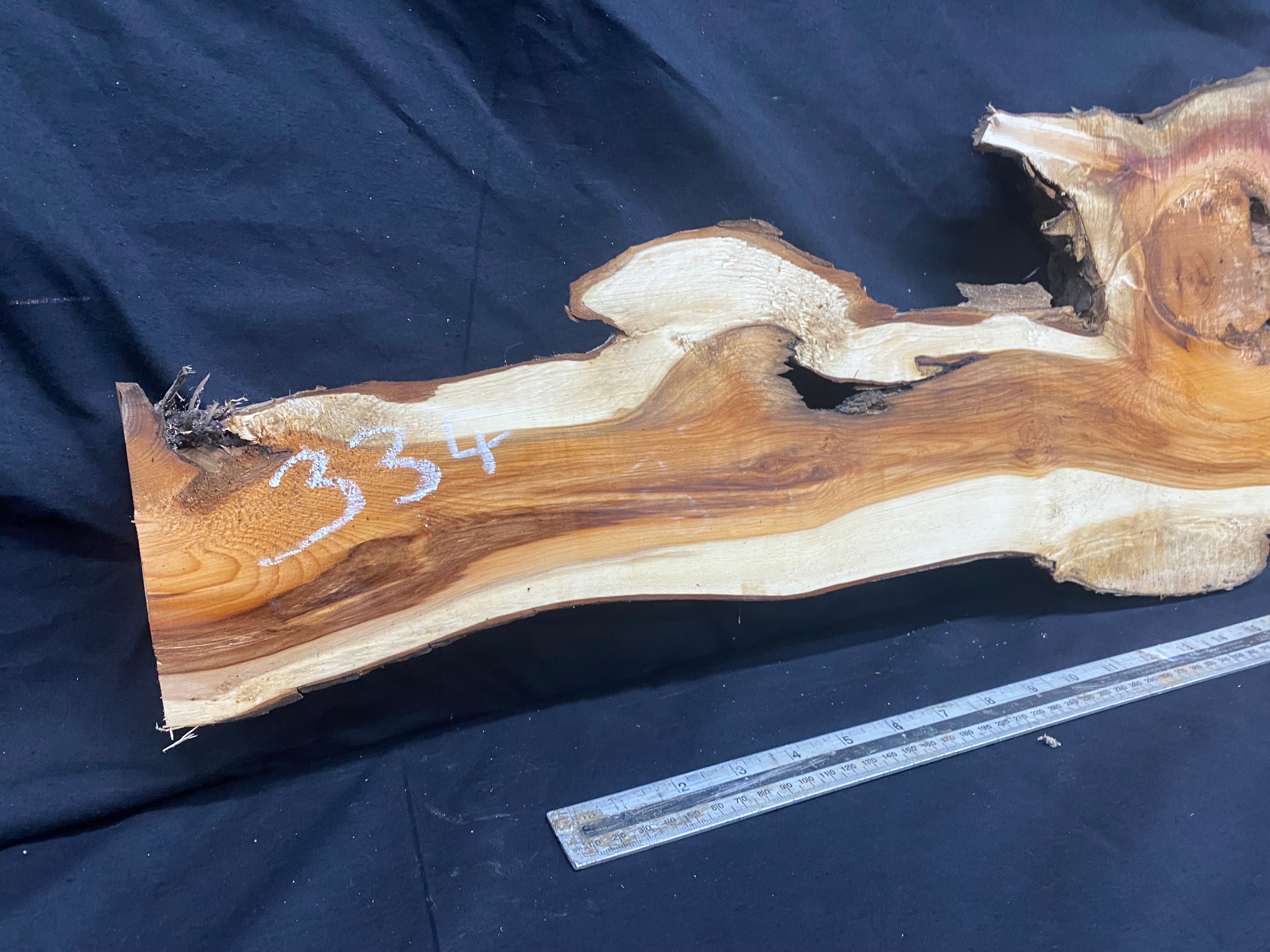 Hardwood yew, slab, resin table blank  1250 L x 304 W x 44 D mm    (334)