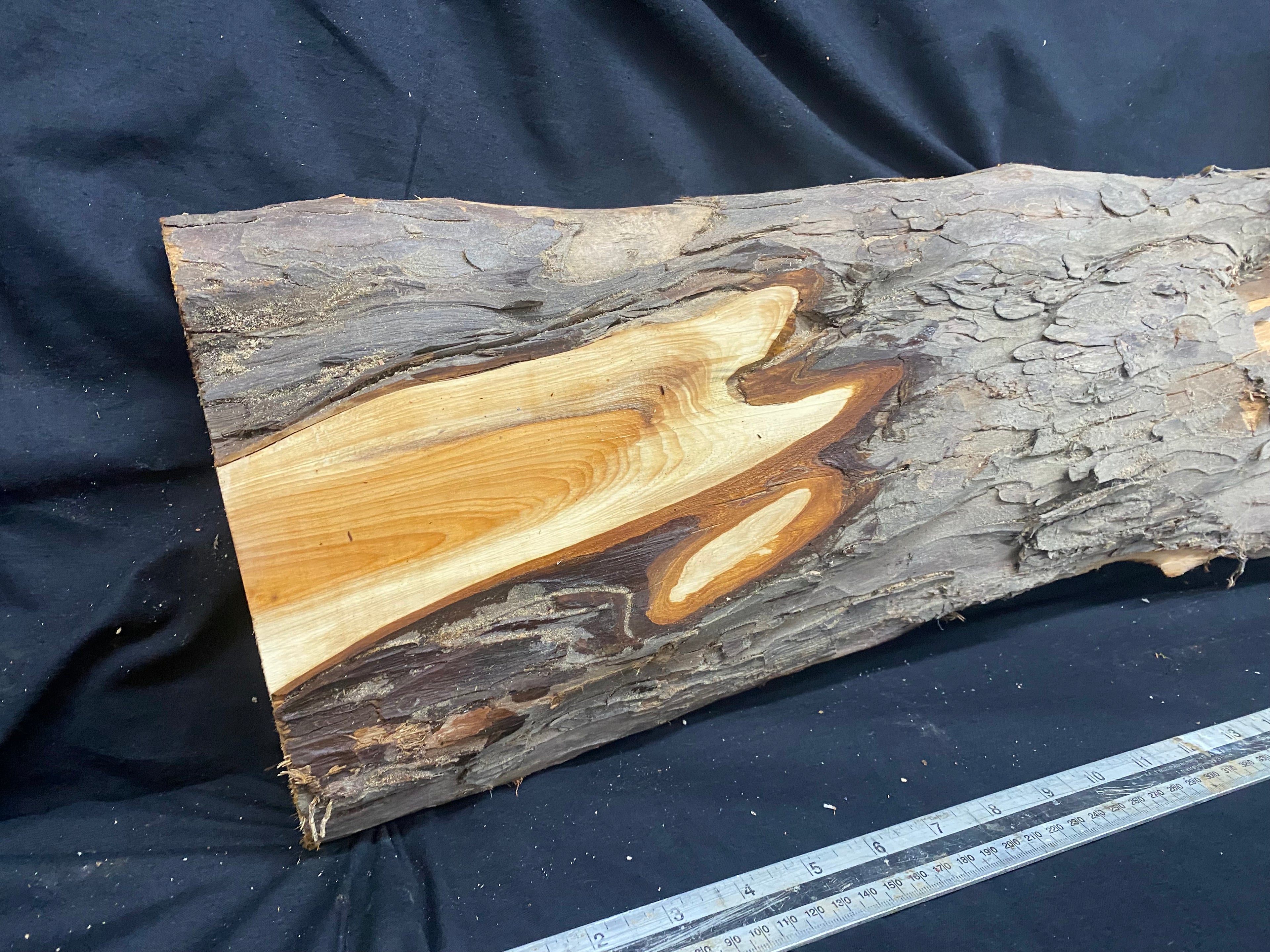 Hardwood yew, slab, resin table blank  1014 L x 280 W x 37 D mm    (335)