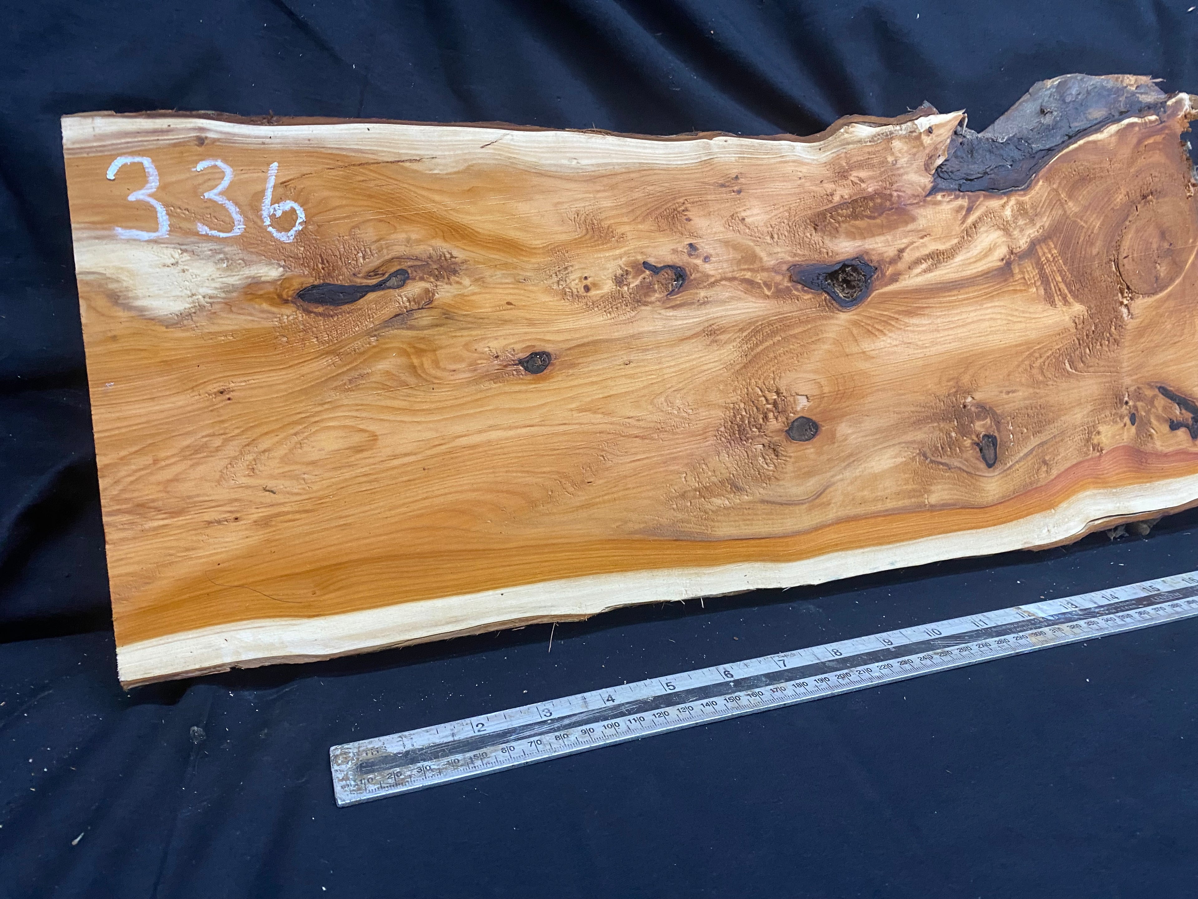 Hardwood yew, slab, resin table blank  1200 L x 275 W x 39 D mm    (336)