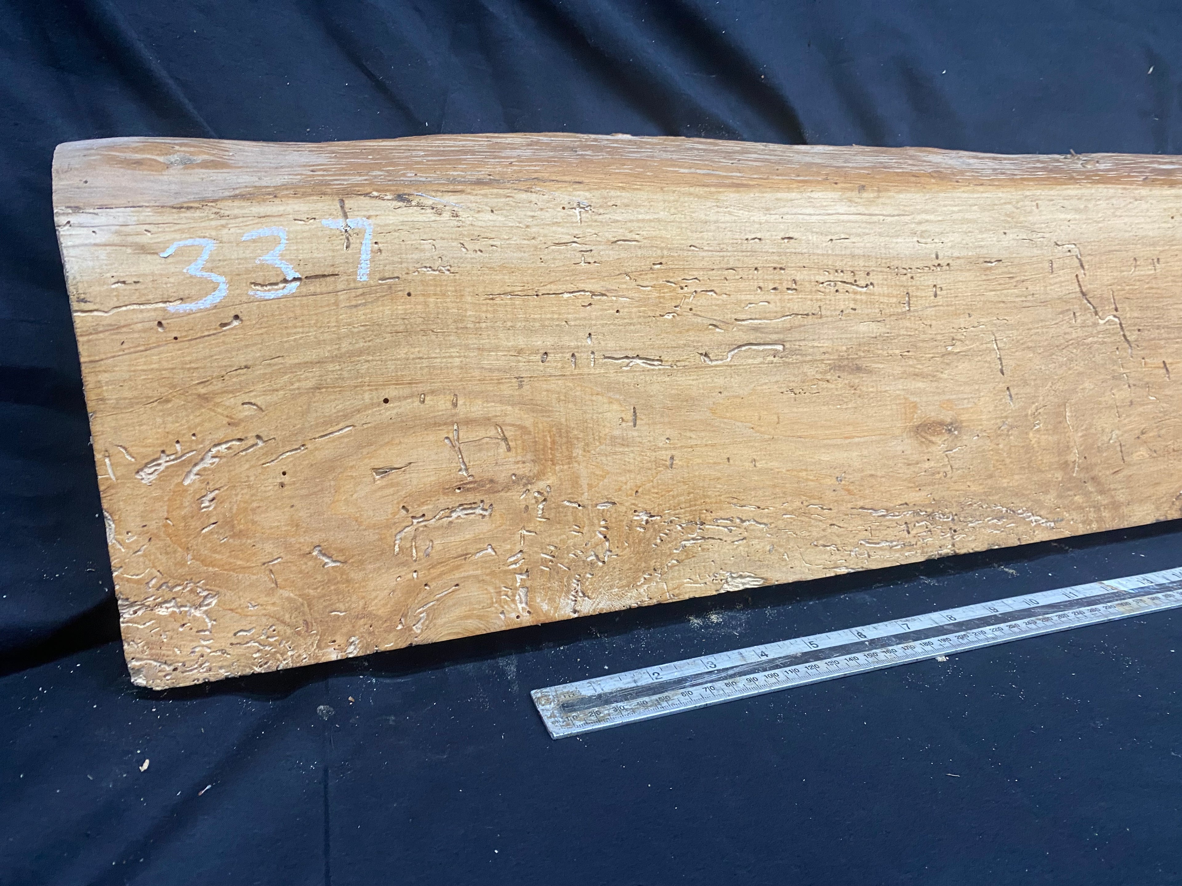 Cedar plank, shelf, 1260 L x 278 W x 43 D mm    (337)