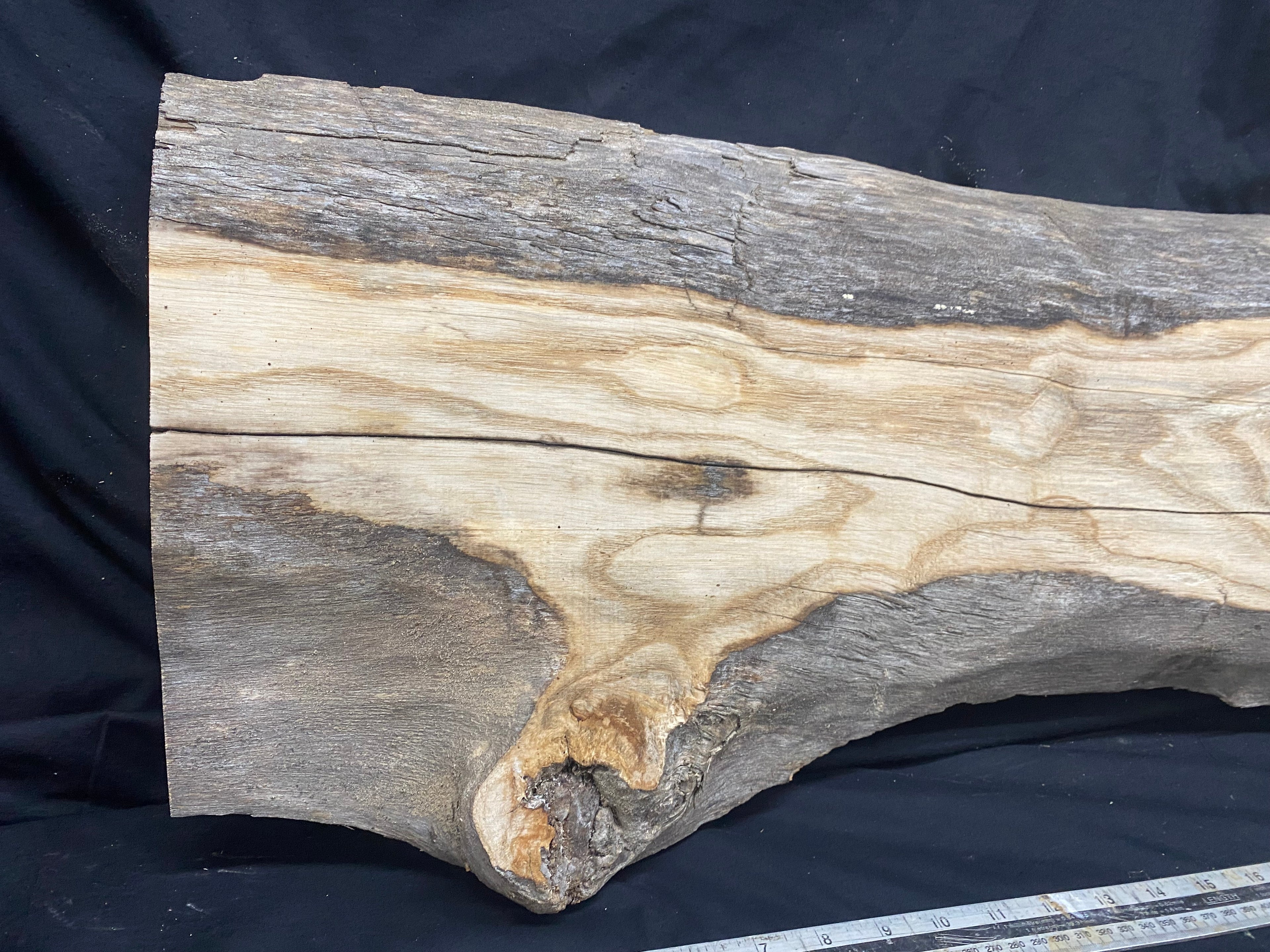 Hardwood ash, plank, 1041 L x 328 W x 41 D mm     (339)