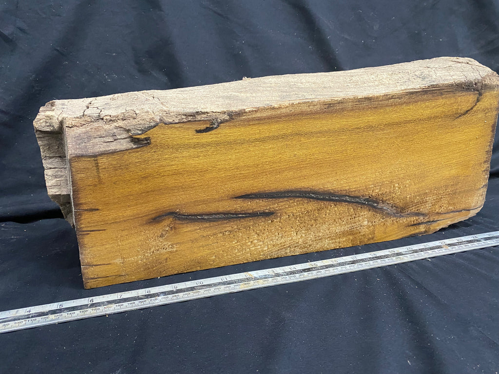 Hardwood mulberry, block dry 493 L x 200 W x 150 D mm (341)