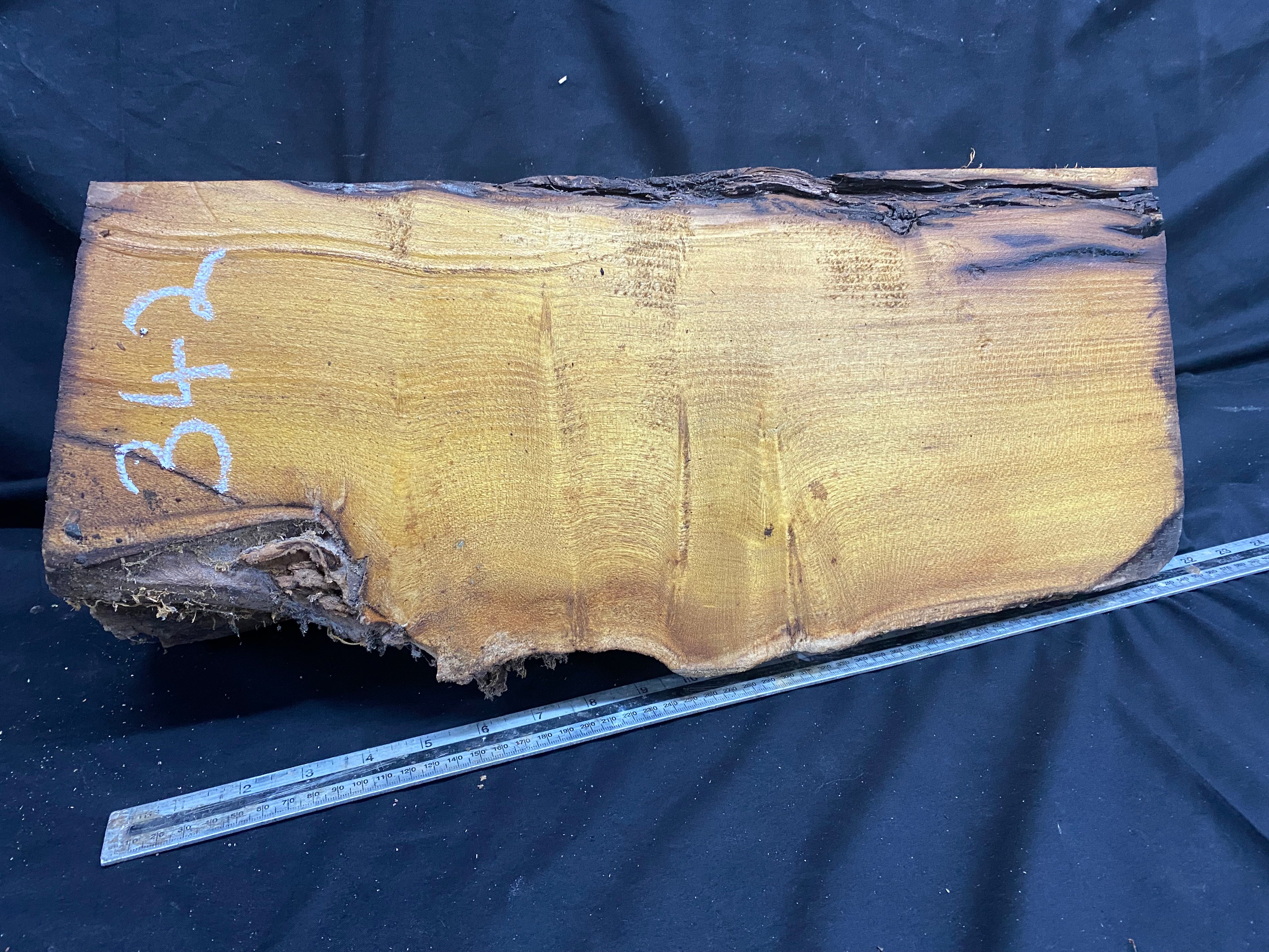 Hardwood mulberry, block dry 535 L x 215 W x 176 D mm          (342)