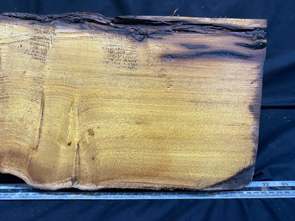 Hardwood mulberry, block dry 535 L x 215 W x 176 D mm          (342)