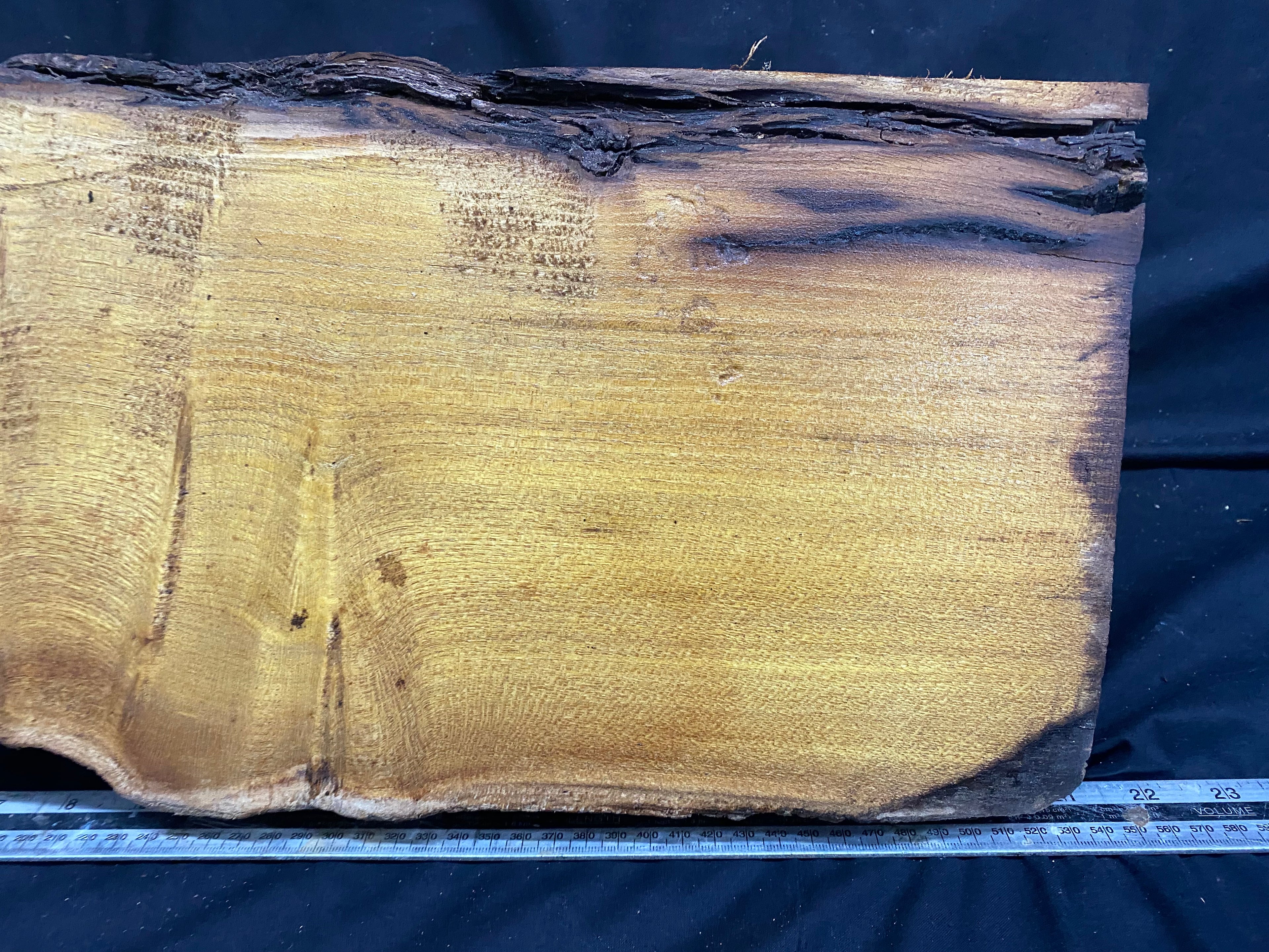 Hardwood mulberry, block dry 535 L x 215 W x 176 D mm          (342)