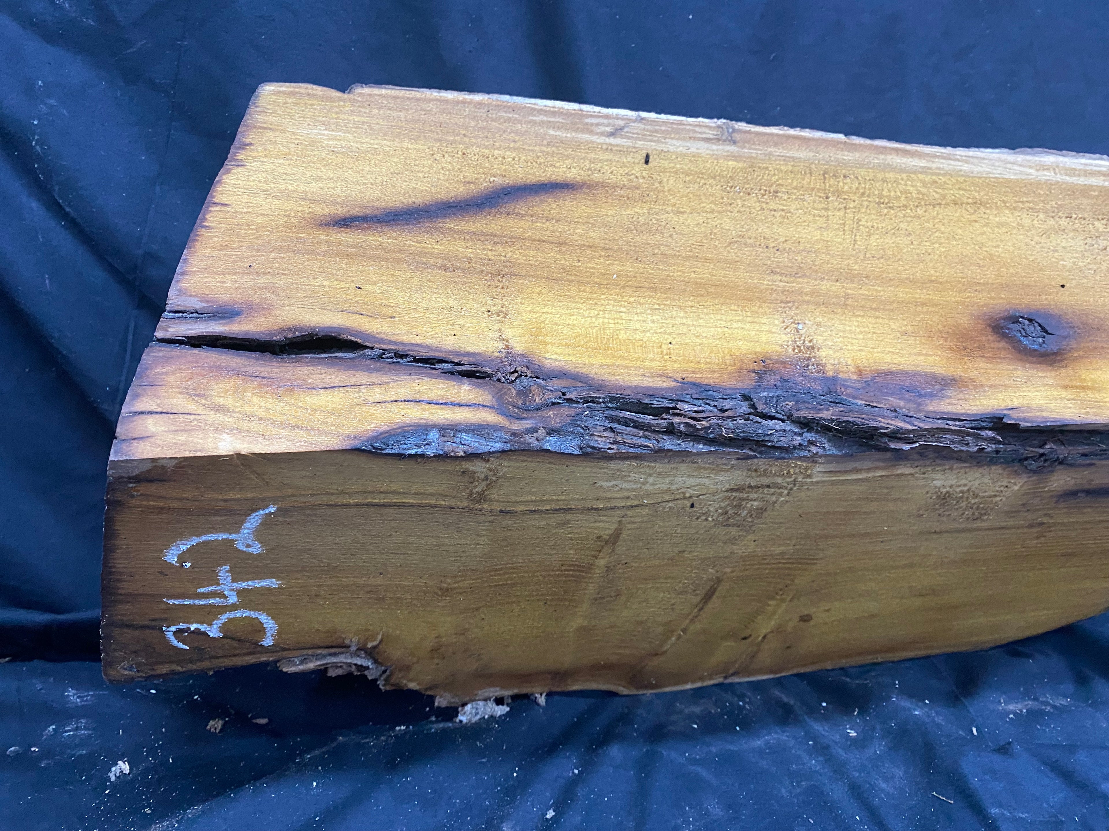 Hardwood mulberry, block dry 535 L x 215 W x 176 D mm          (342)