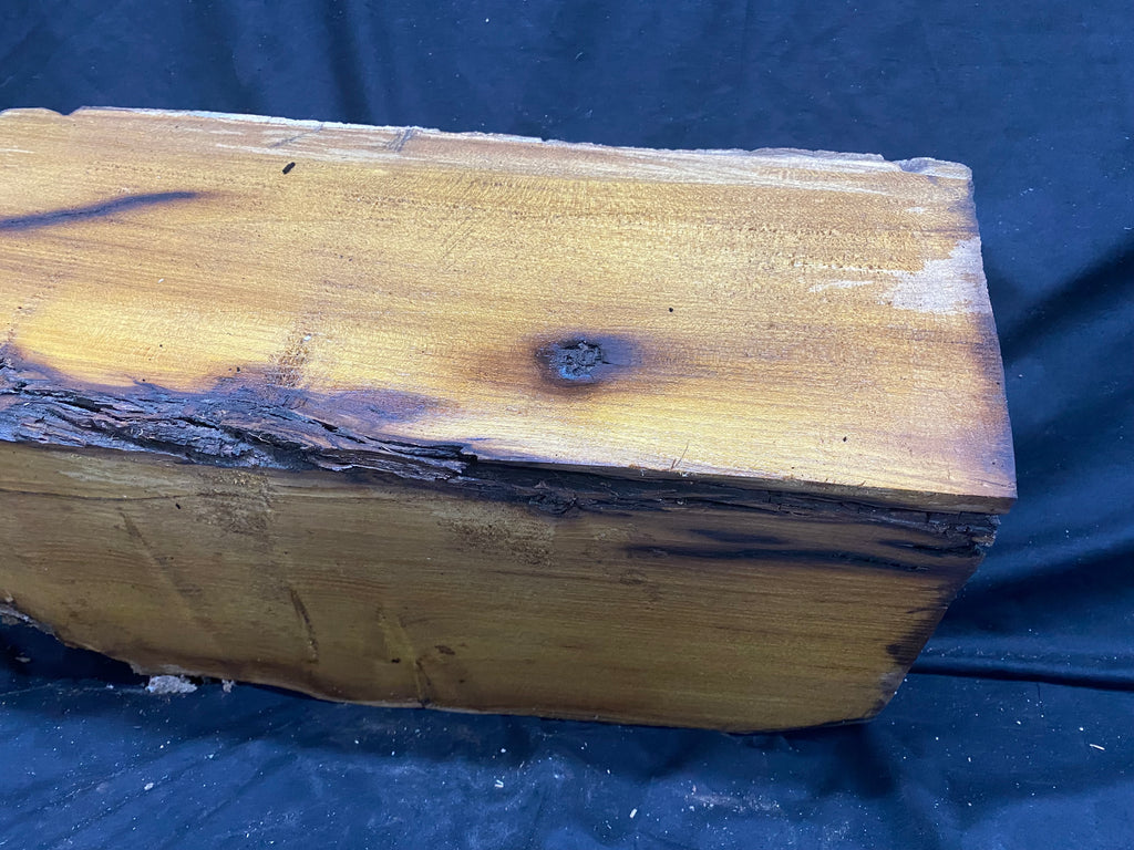 Hardwood mulberry, block dry 535 L x 215 W x 176 D mm          (342)