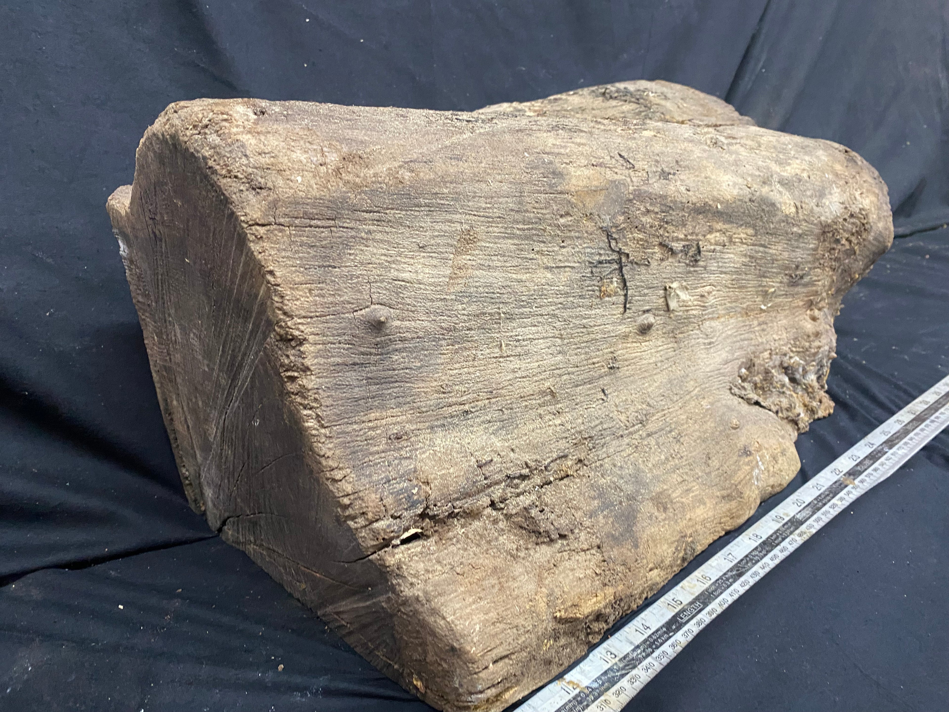 Hardwood mulberry, block dry 535 L x 215 W x 176 D mm          (342)