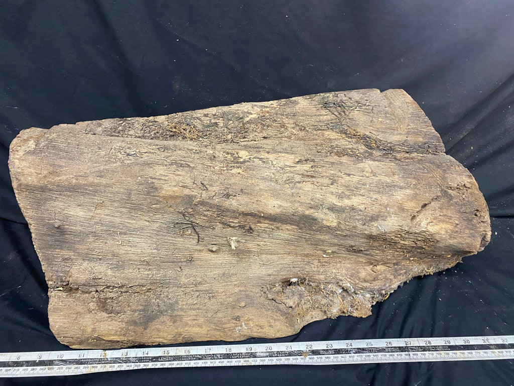 Hardwood mulberry, block dry 535 L x 215 W x 176 D mm          (342)