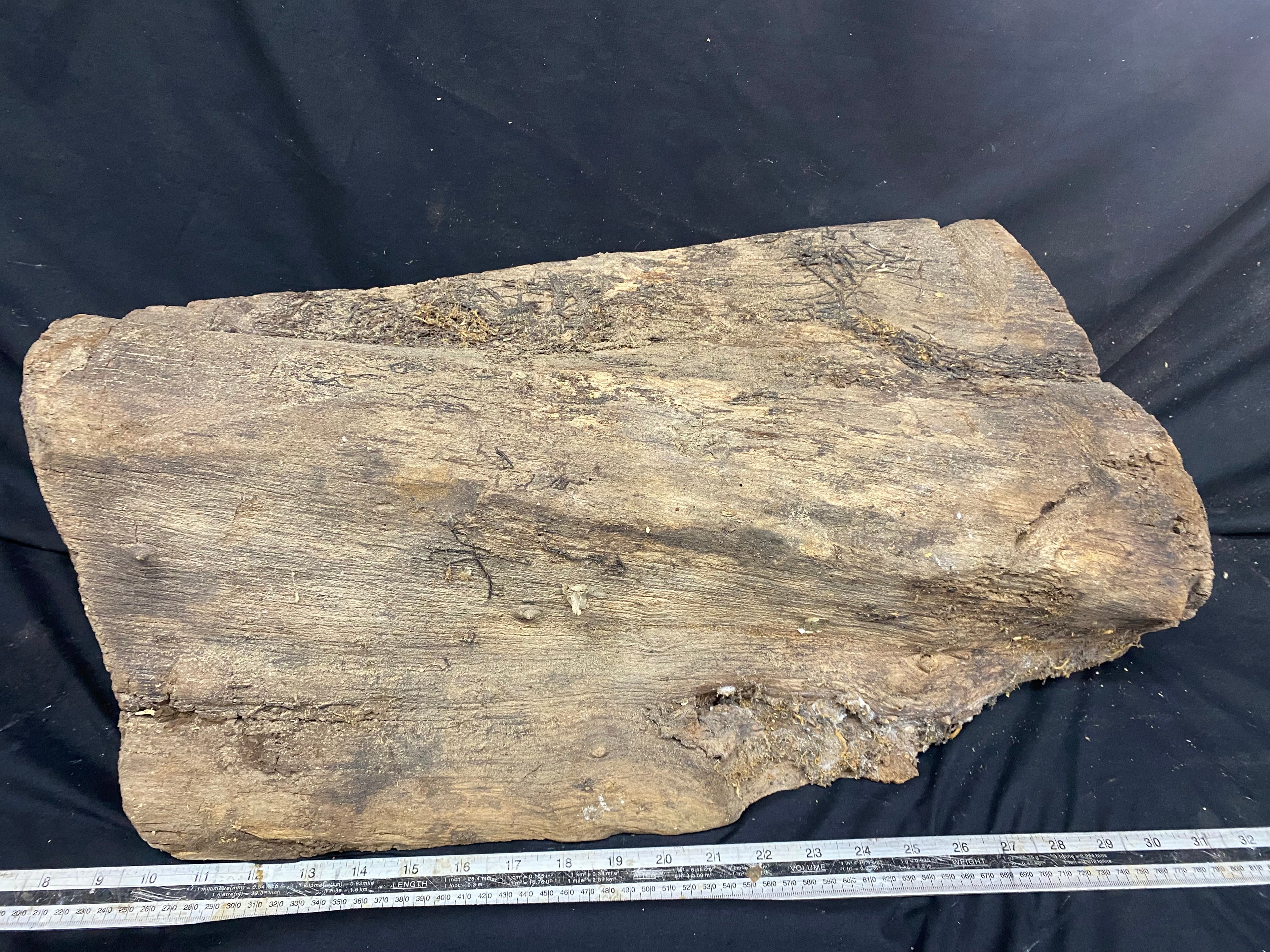 Hardwood mulberry, block dry 535 L x 215 W x 176 D mm          (342)