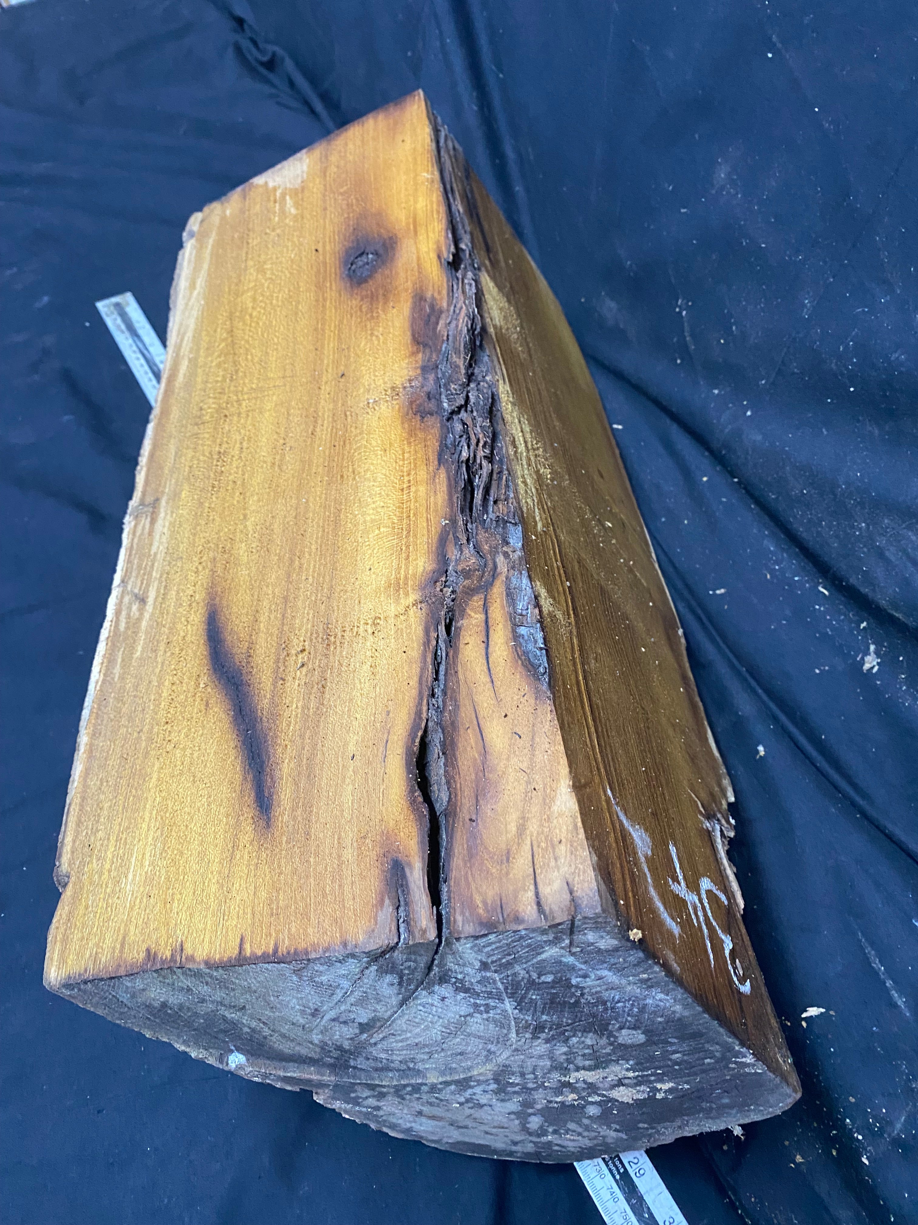 Hardwood mulberry, block dry 535 L x 215 W x 176 D mm          (342)