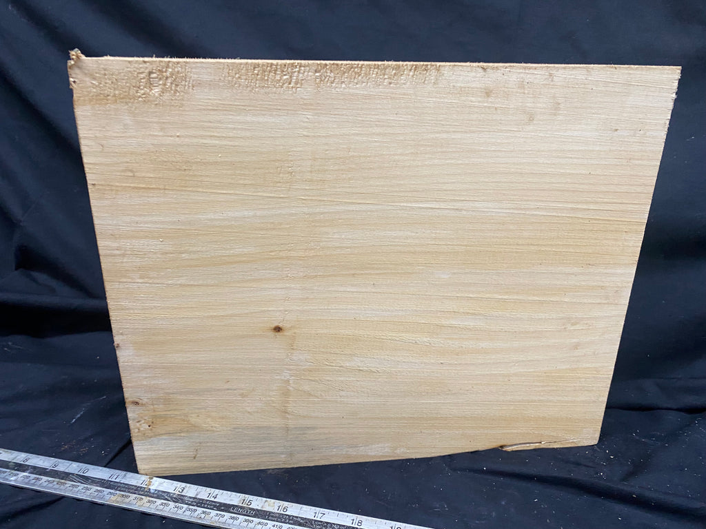 woodcarving or sculpting lime block 356 L x 285 W x 80 D mm    (345)