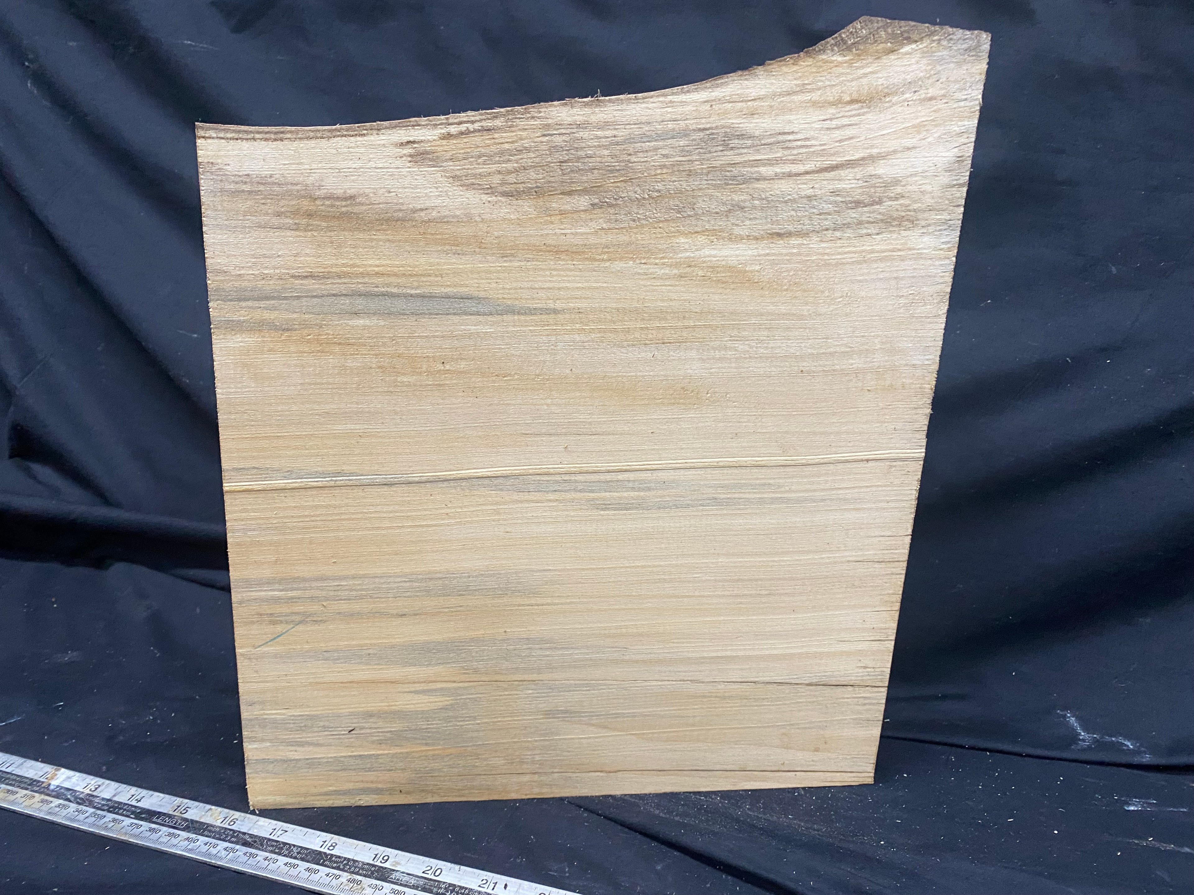 woodcarving or sculpting lime block 298 L x 345 W x 90 D mm    (346)