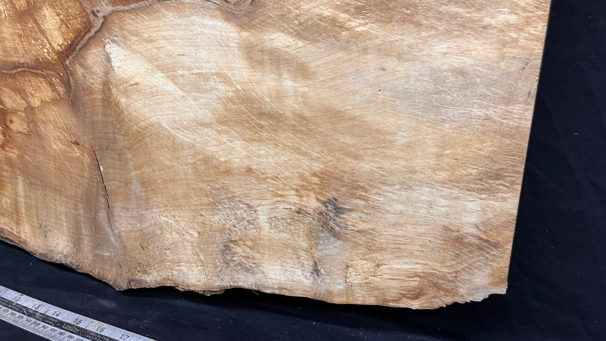 Hornbeam chopping board, shelf, mantle 678 L x 460 W x 42 D mm  (649)