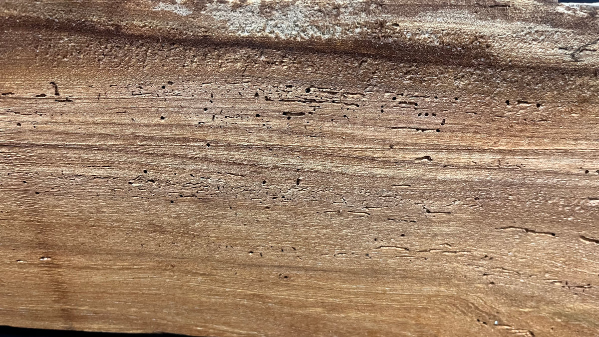 Reclaimed burr elm rustic mantle piece, 1233  L x 279 W x 98 D mm    (mt651)