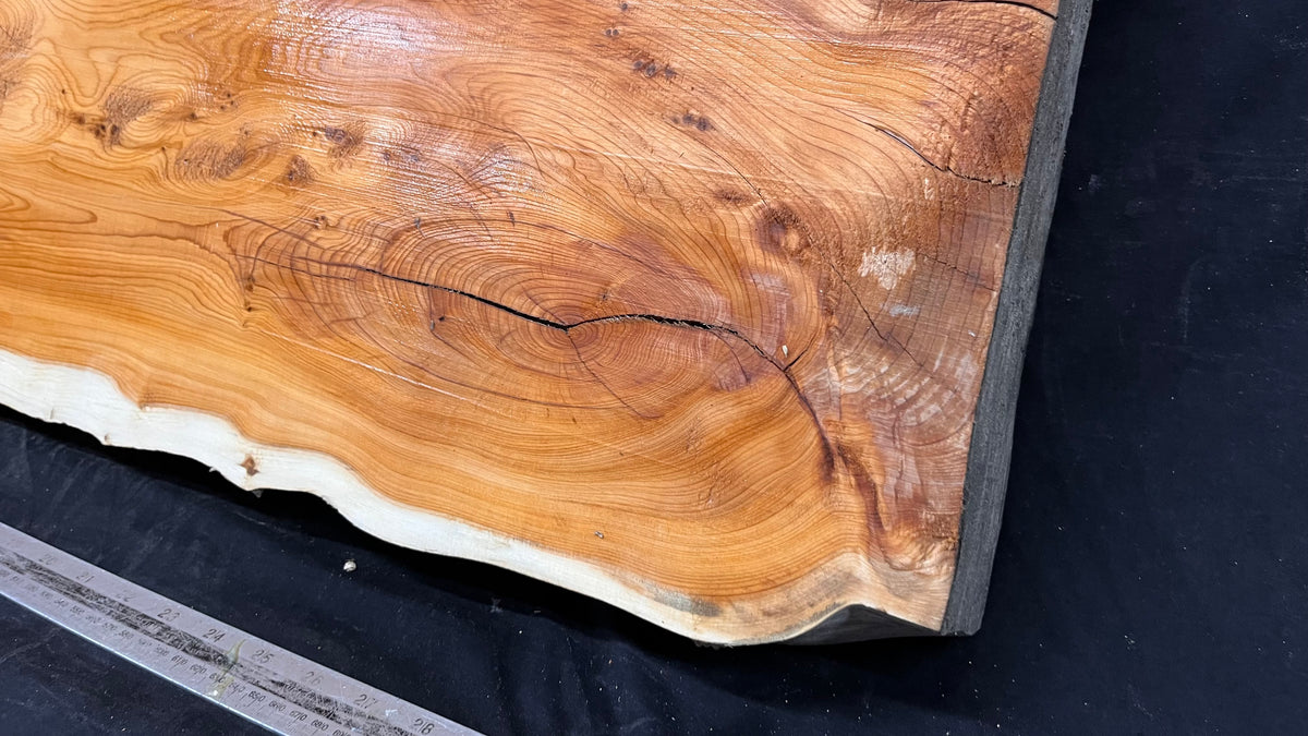 Coffee table top yew, slab, board 837 L x 362 W x 65 D mm    (659)