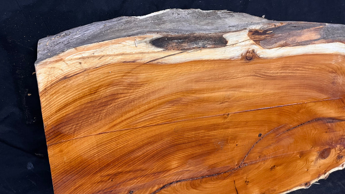 Coffee table top yew, slab, board 1480 L x 348 W x 52 D mm    (664)