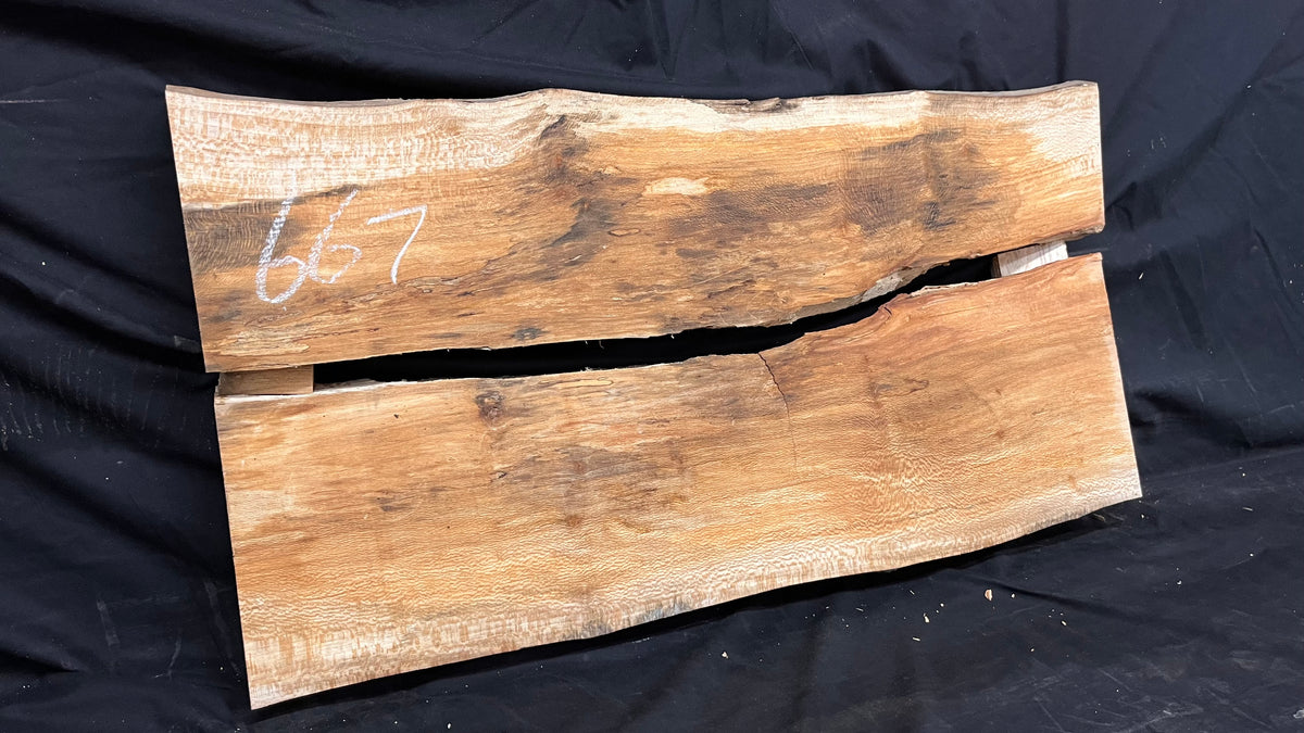 London Plane natural split resin table blank 797 L x 397 W x 62 D mm       (667)