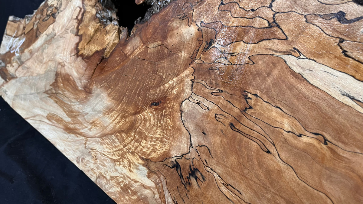 Spalted beech resin blank slab 944 L x 427 W x 50 D mm    (668)