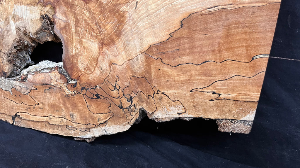 Spalted beech resin blank slab 944 L x 427 W x 50 D mm    (668)