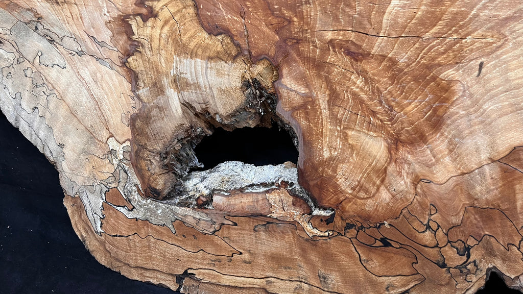 Spalted beech resin blank slab 944 L x 427 W x 50 D mm    (668)