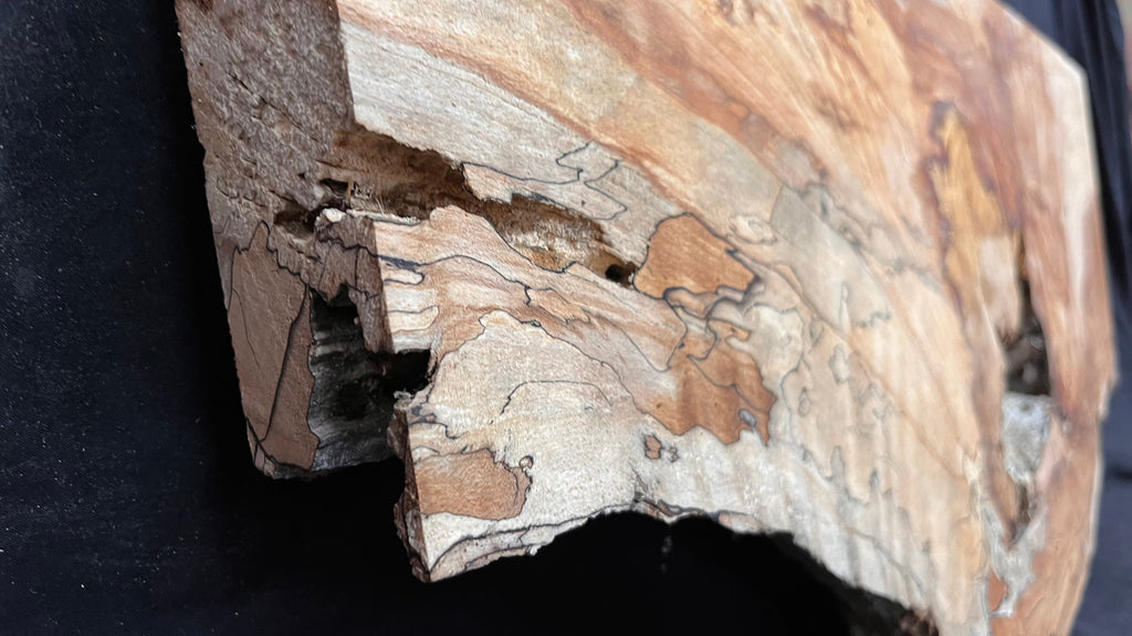 Spalted beech resin blank slab 944 L x 427 W x 50 D mm    (668)